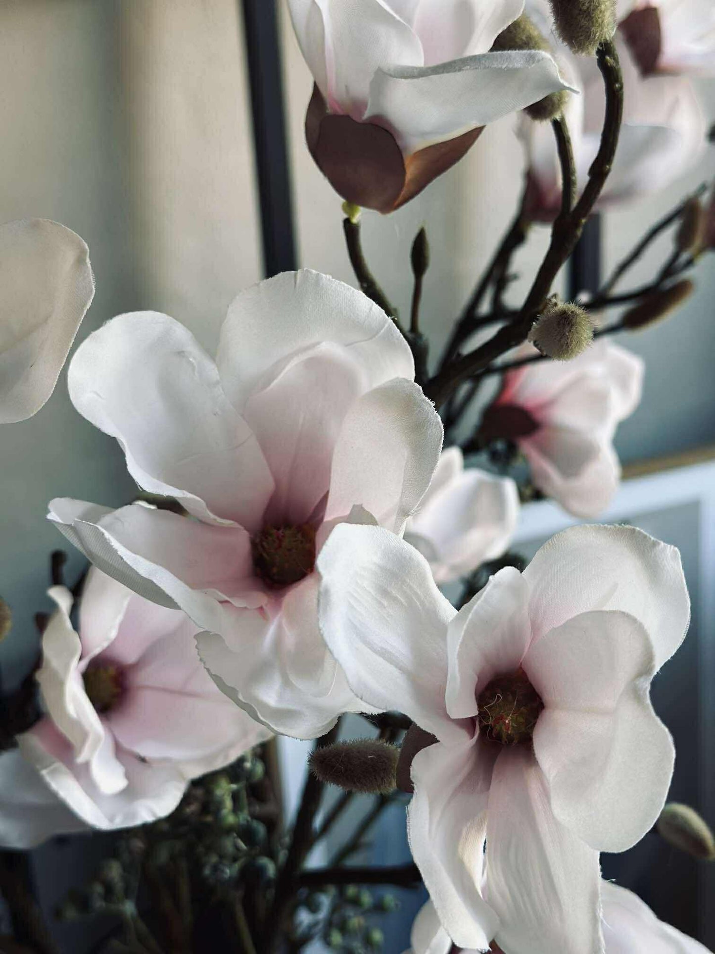 Magnoliagren pink - 92cm