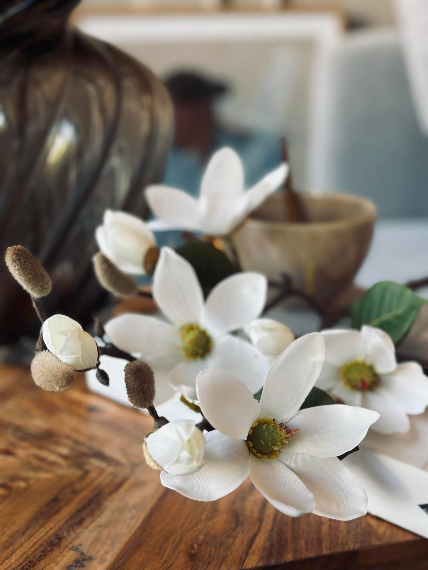 Magnoliagren - 52cm