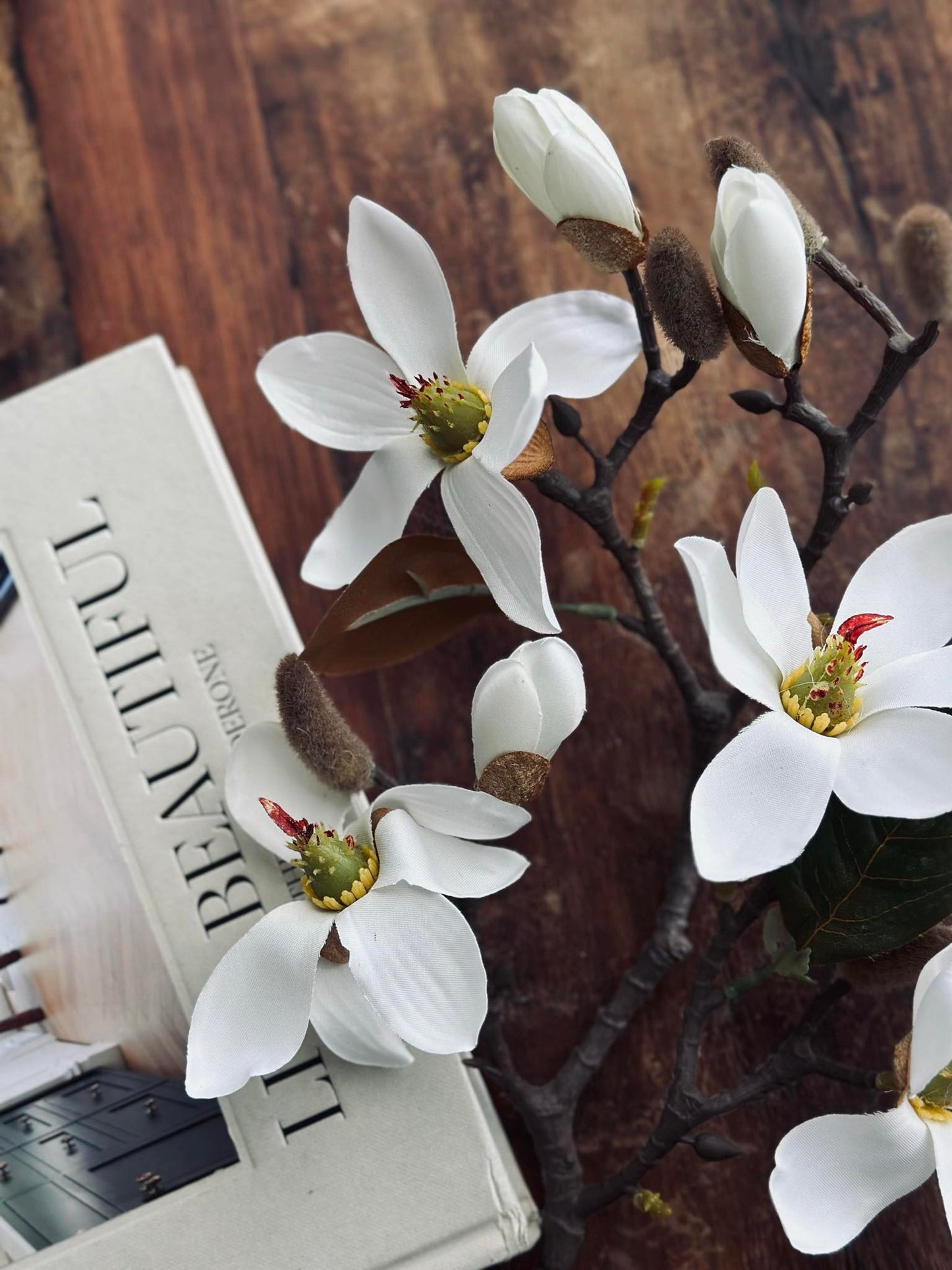 Magnoliagren - 52cm
