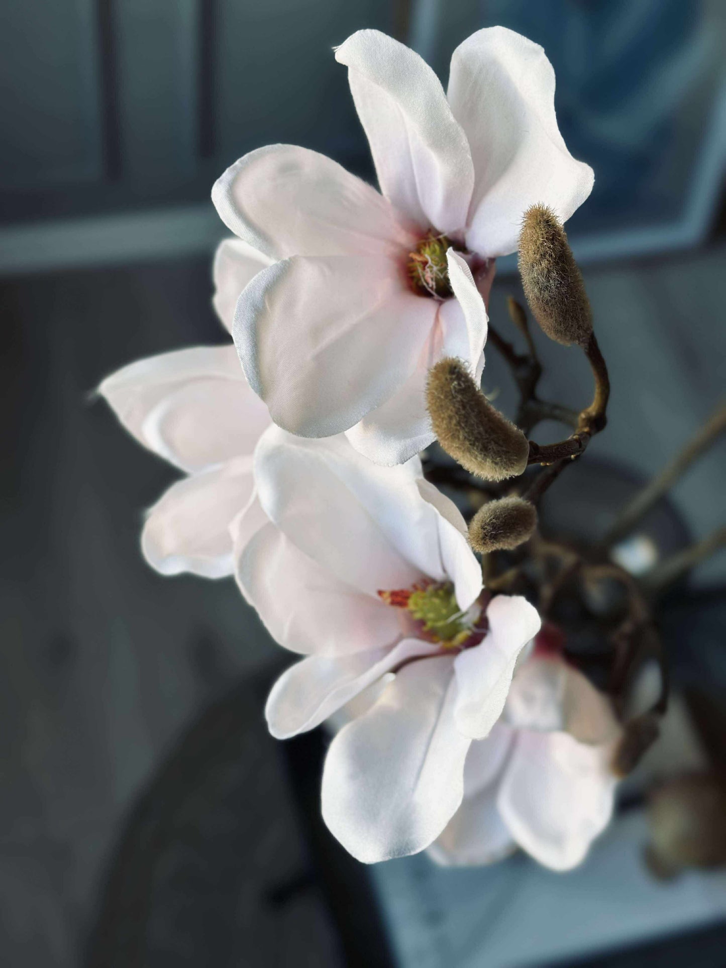 Magnoliagren pink - 92cm