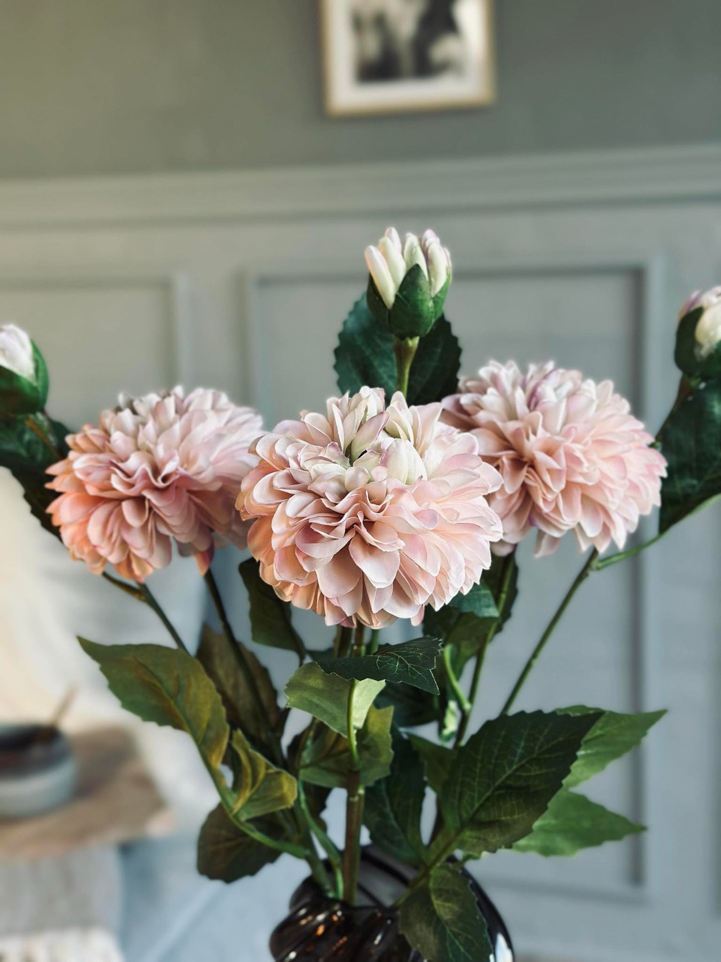 Blomst Dahlia