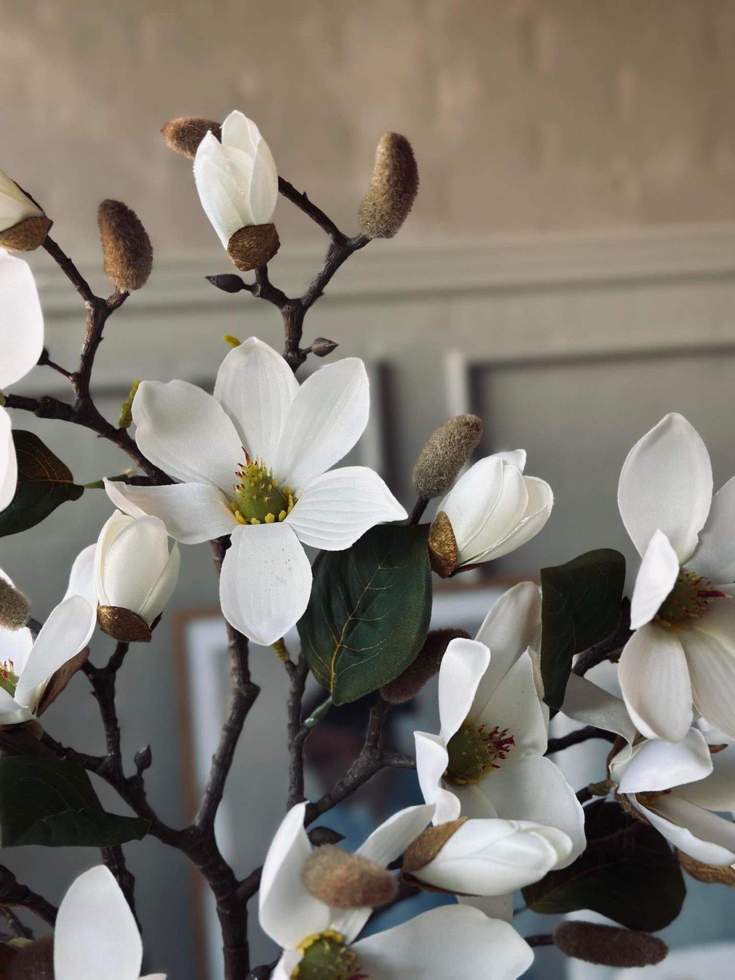 Magnoliagren - 52cm