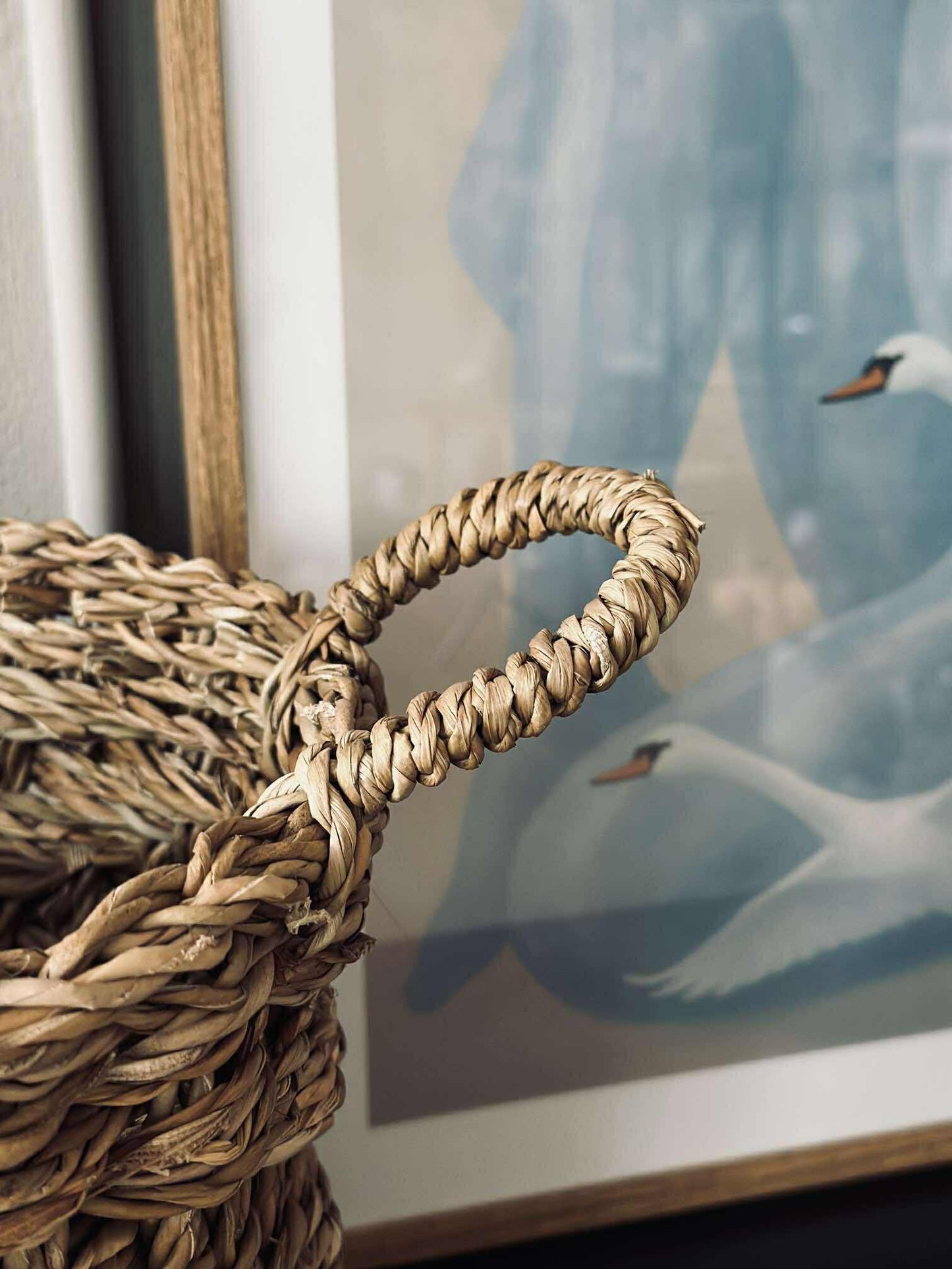 Fletkurve i søgræs - Sæt 3 stk