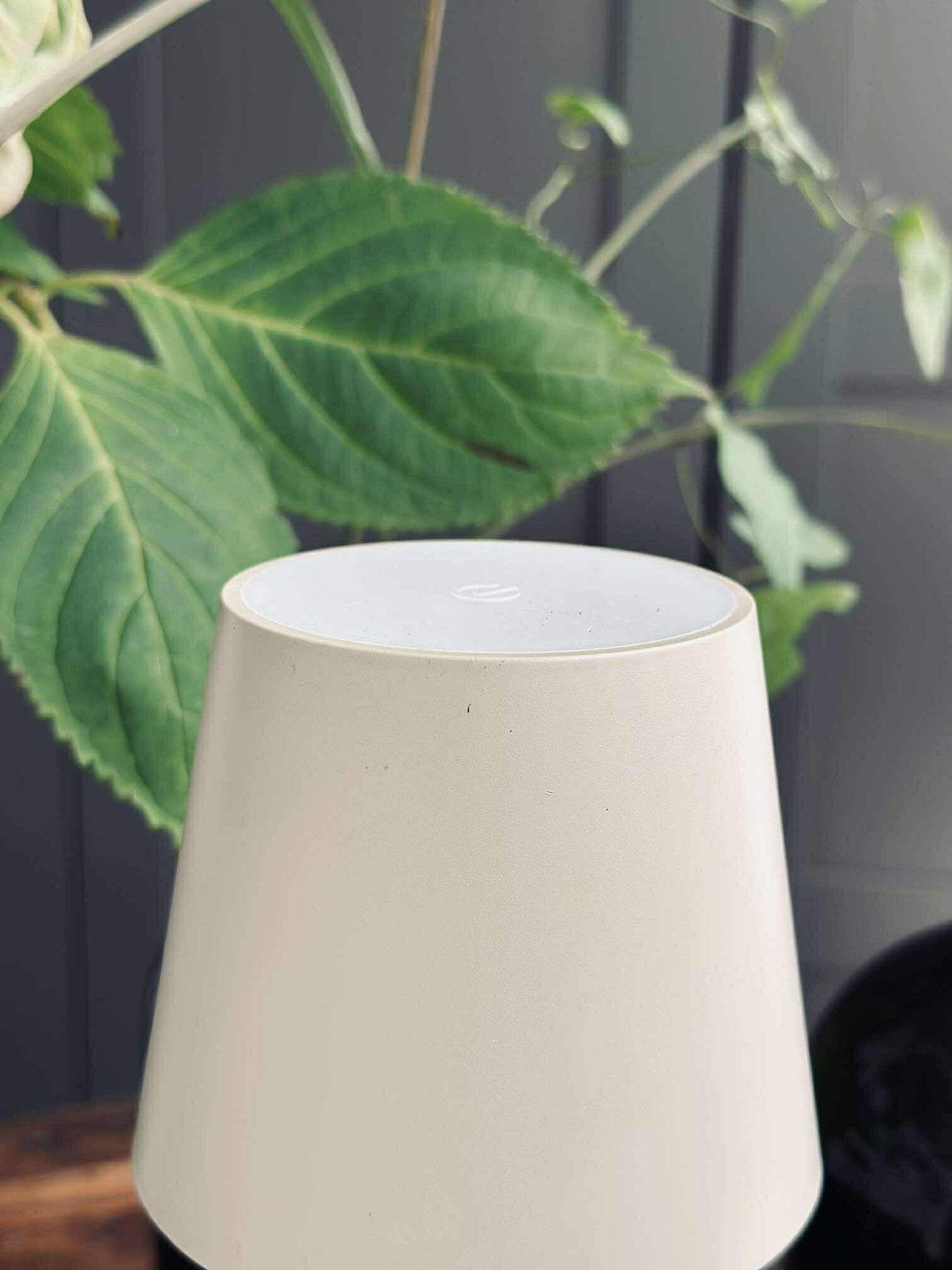 LED lampe til vinflaske - Creme MIX