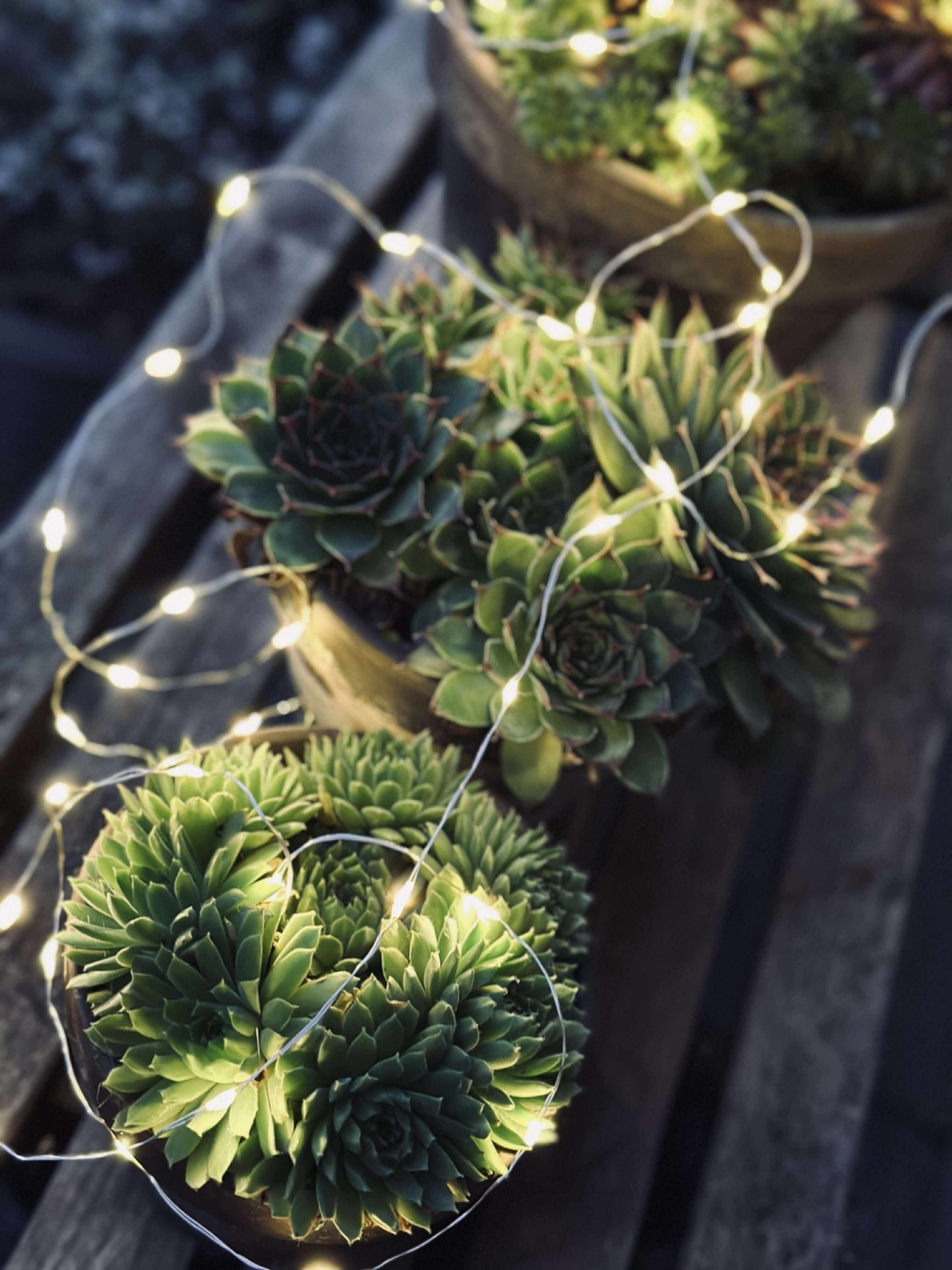 Lyskæde Marly m. Solar - 100 lys