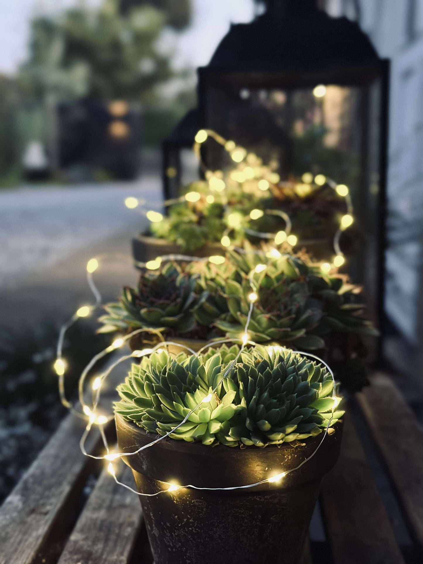 Lyskæde Marly m. Solar - 100 lys