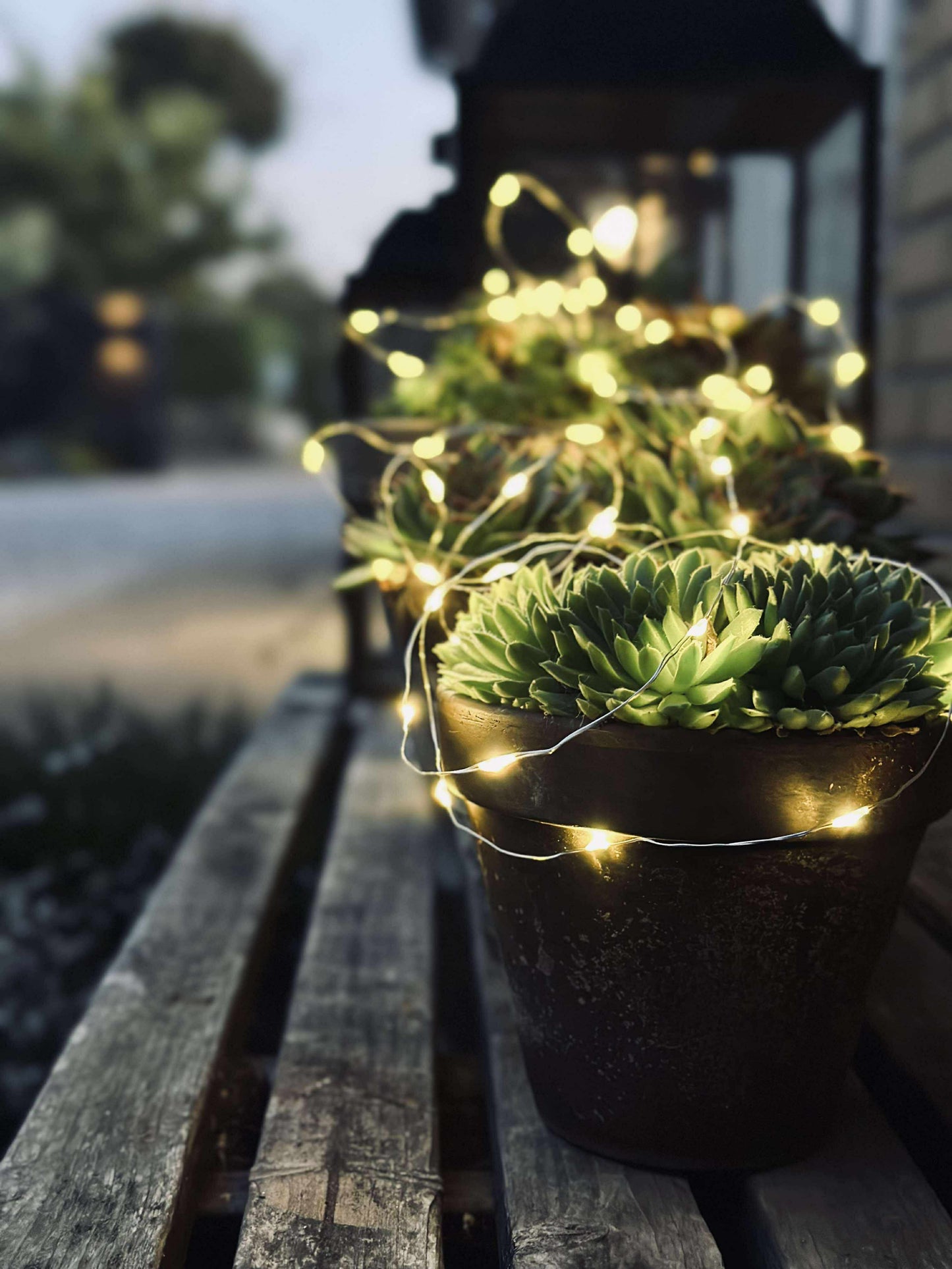 Lyskæde Marly m. Solar - 100 lys