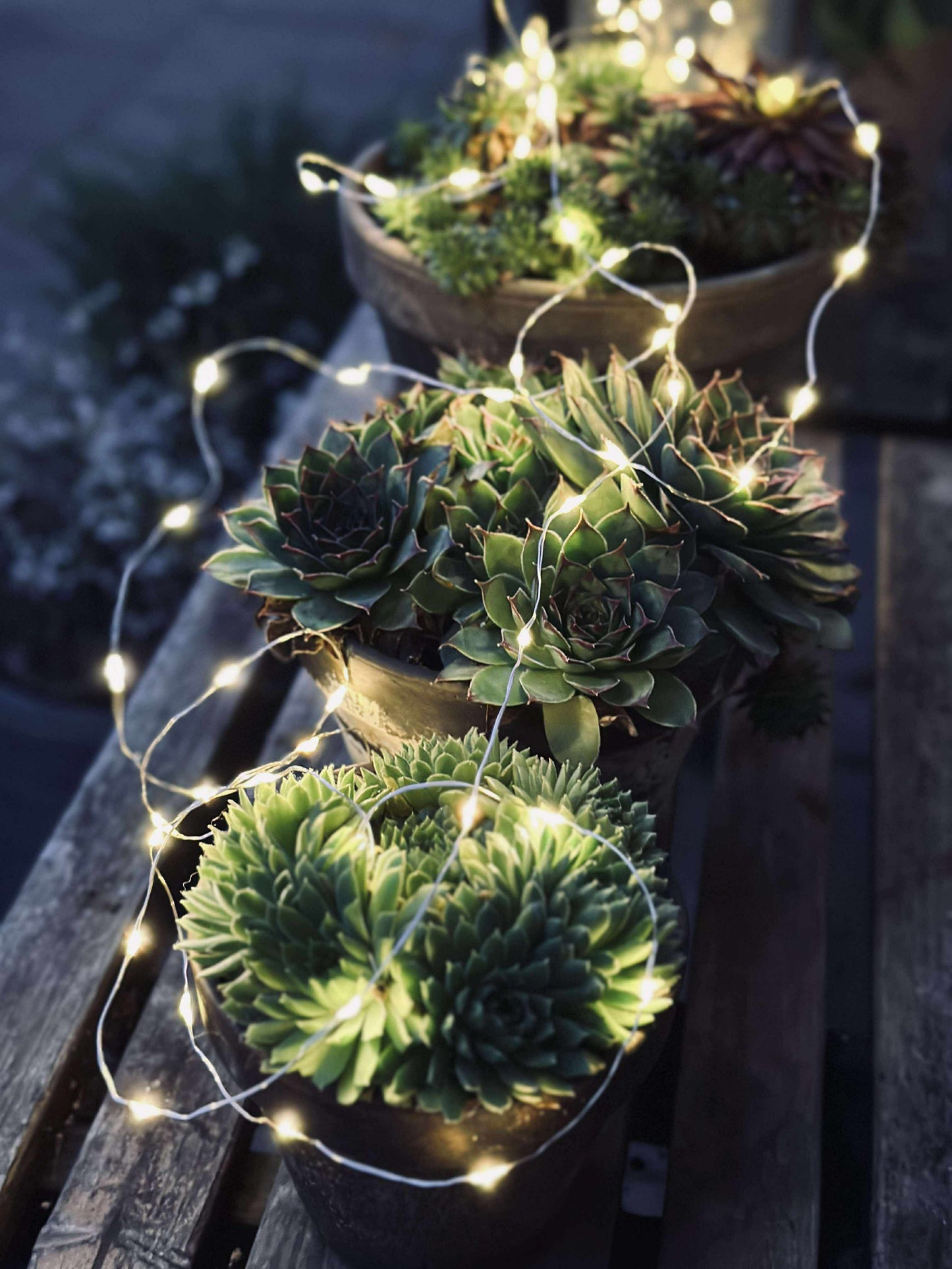 Lyskæde Marly m. Solar - 100 lys