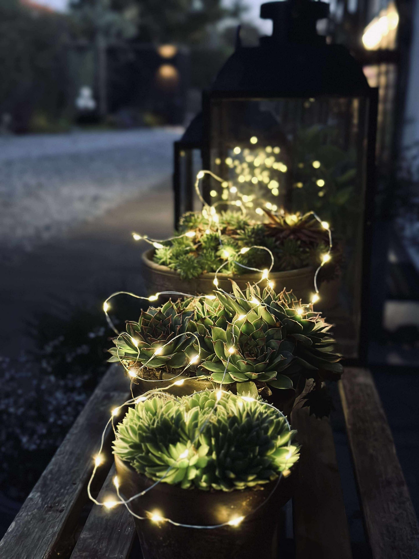 Lyskæde Marly m. Solar - 100 lys