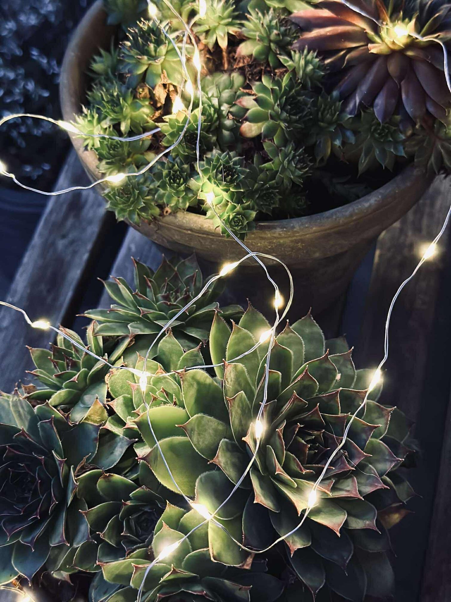 Lyskæde Marly m. Solar - 100 lys