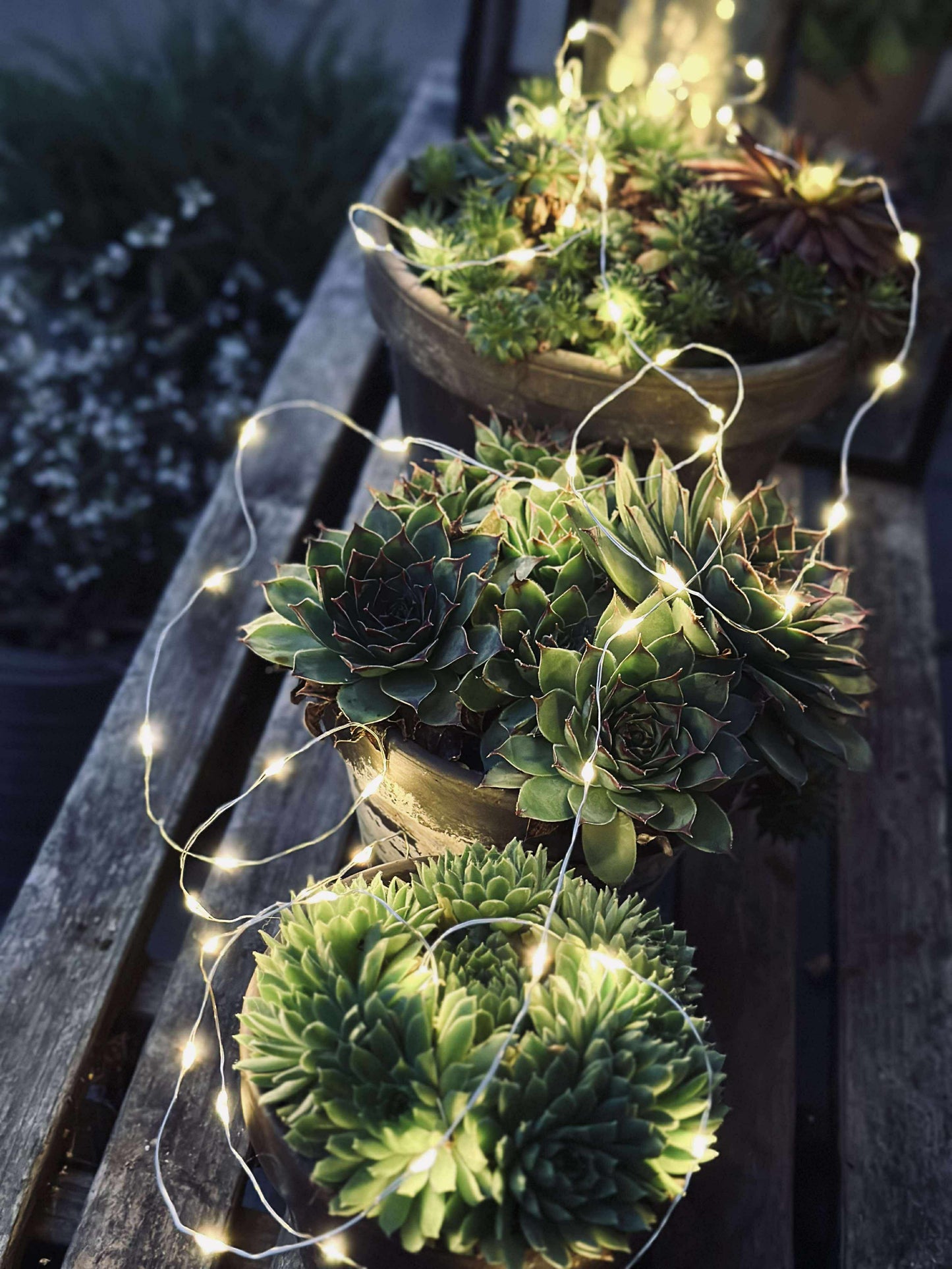 Lyskæde Marly m. Solar - 100 lys