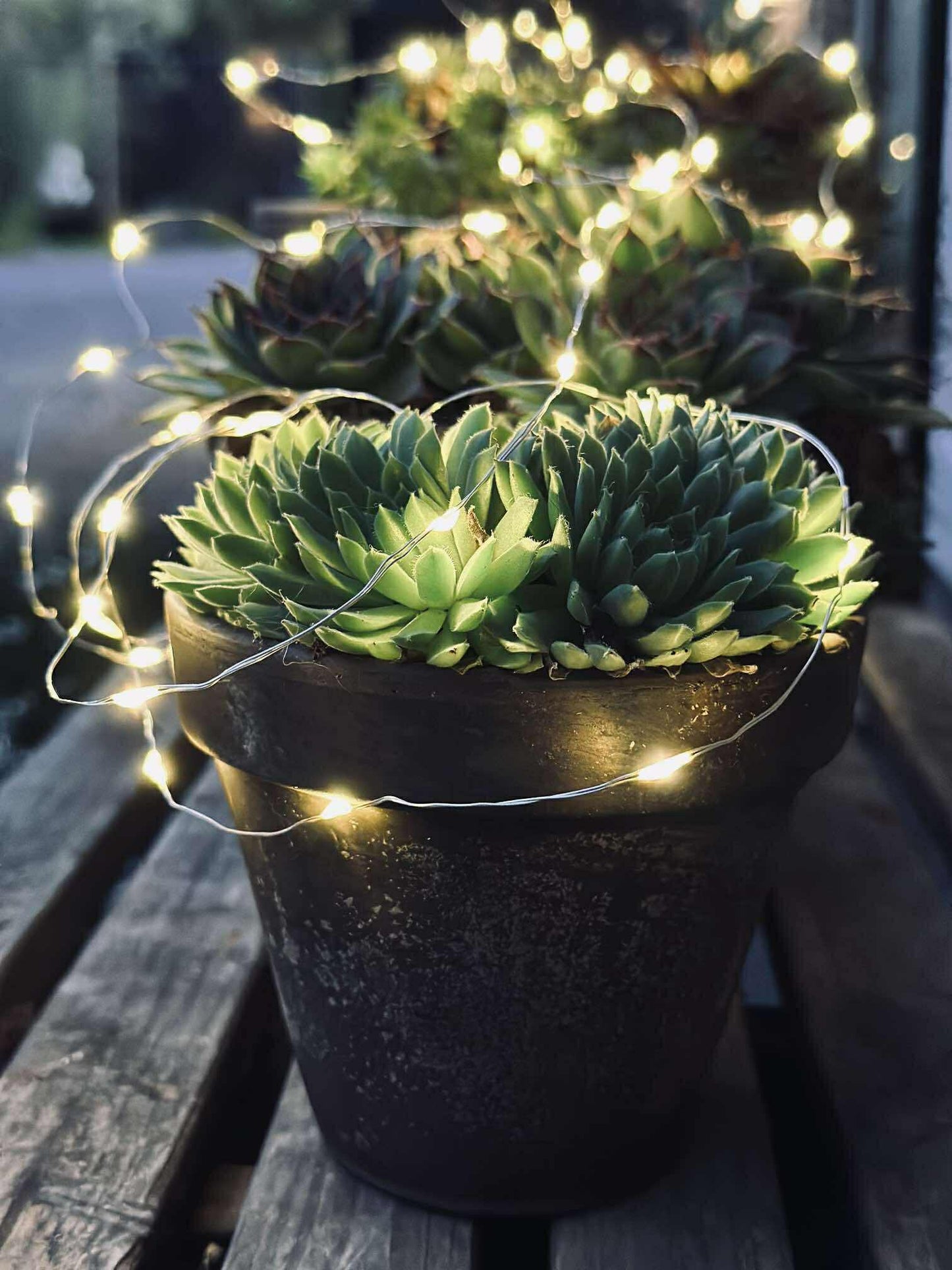 Lyskæde Marly m. Solar - 100 lys