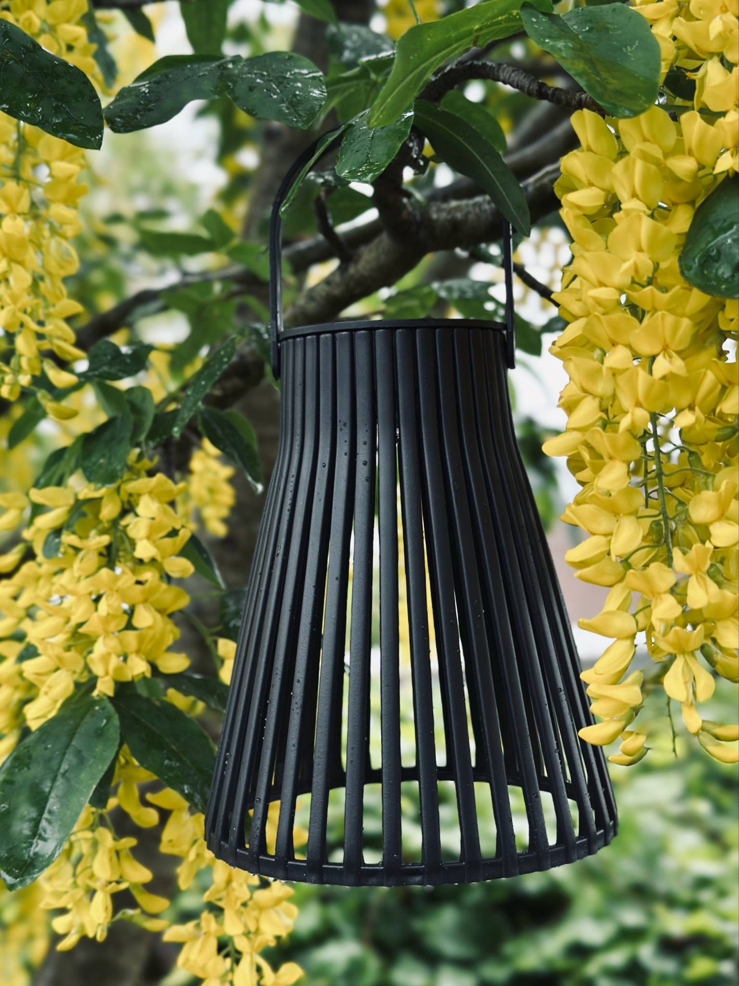 Lanterne med solceller - GARDEN BLACK 14cm