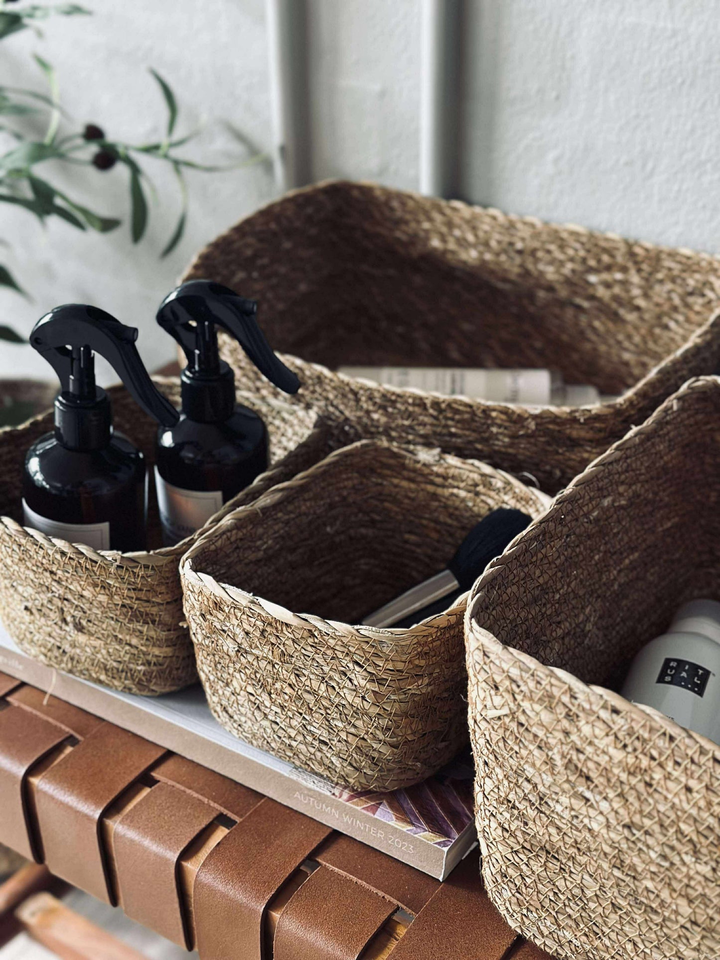 Fletkurve i søgræs - Sæt 4 stk