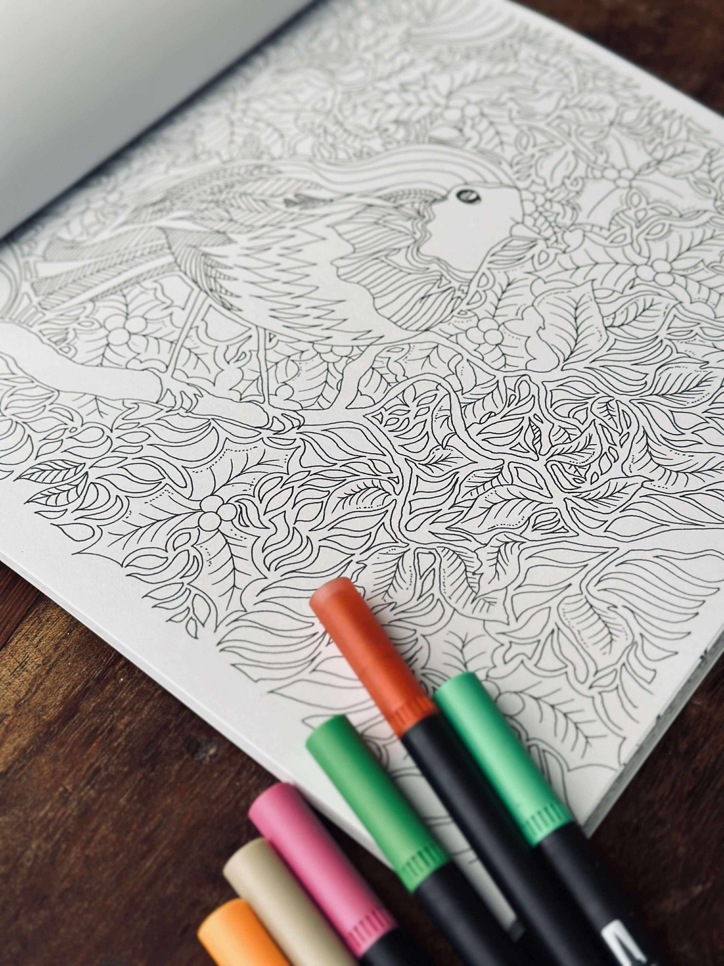 Malebog for voksne - Christmas MIX