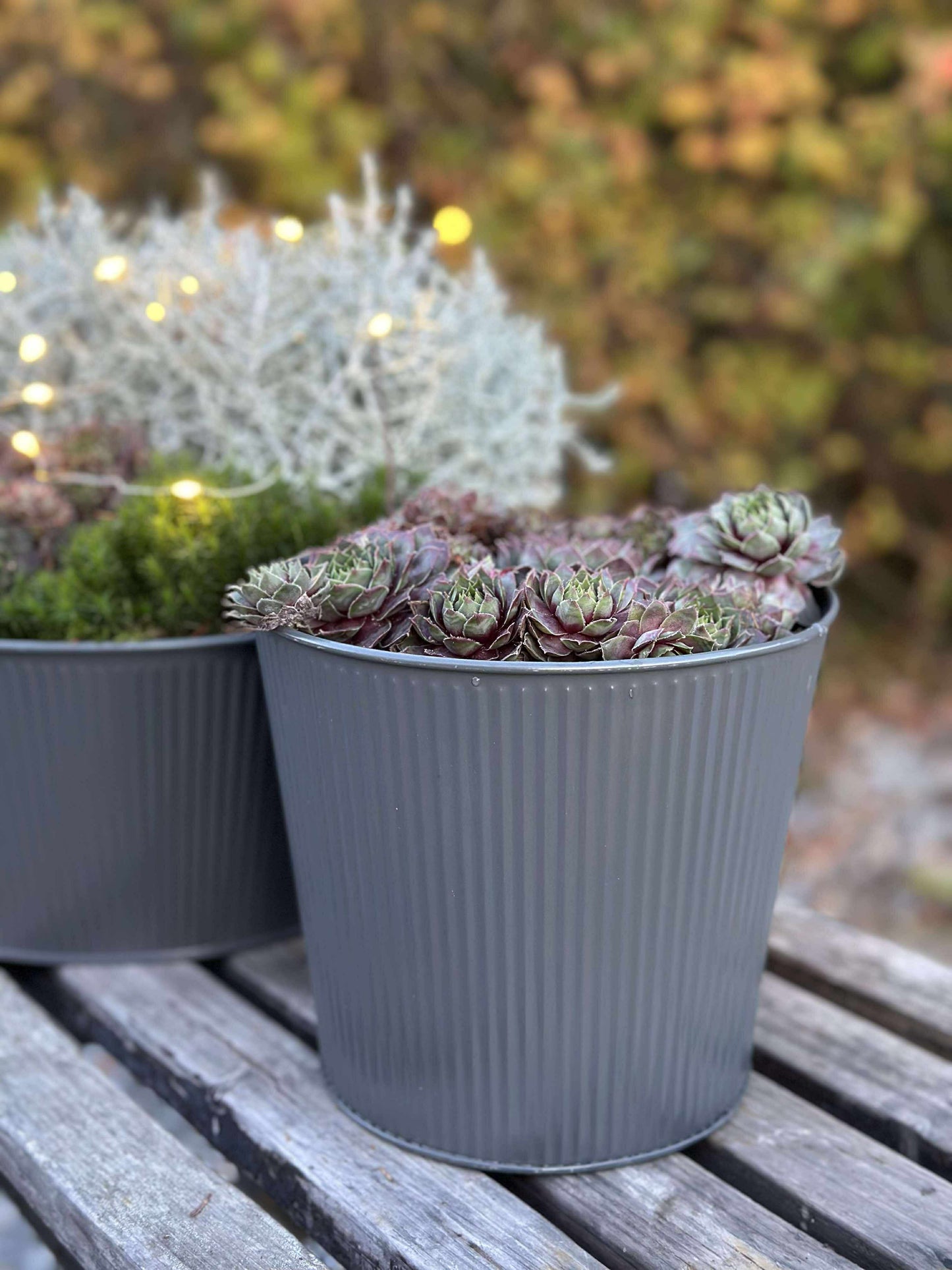 Skjuler med riller - Grå