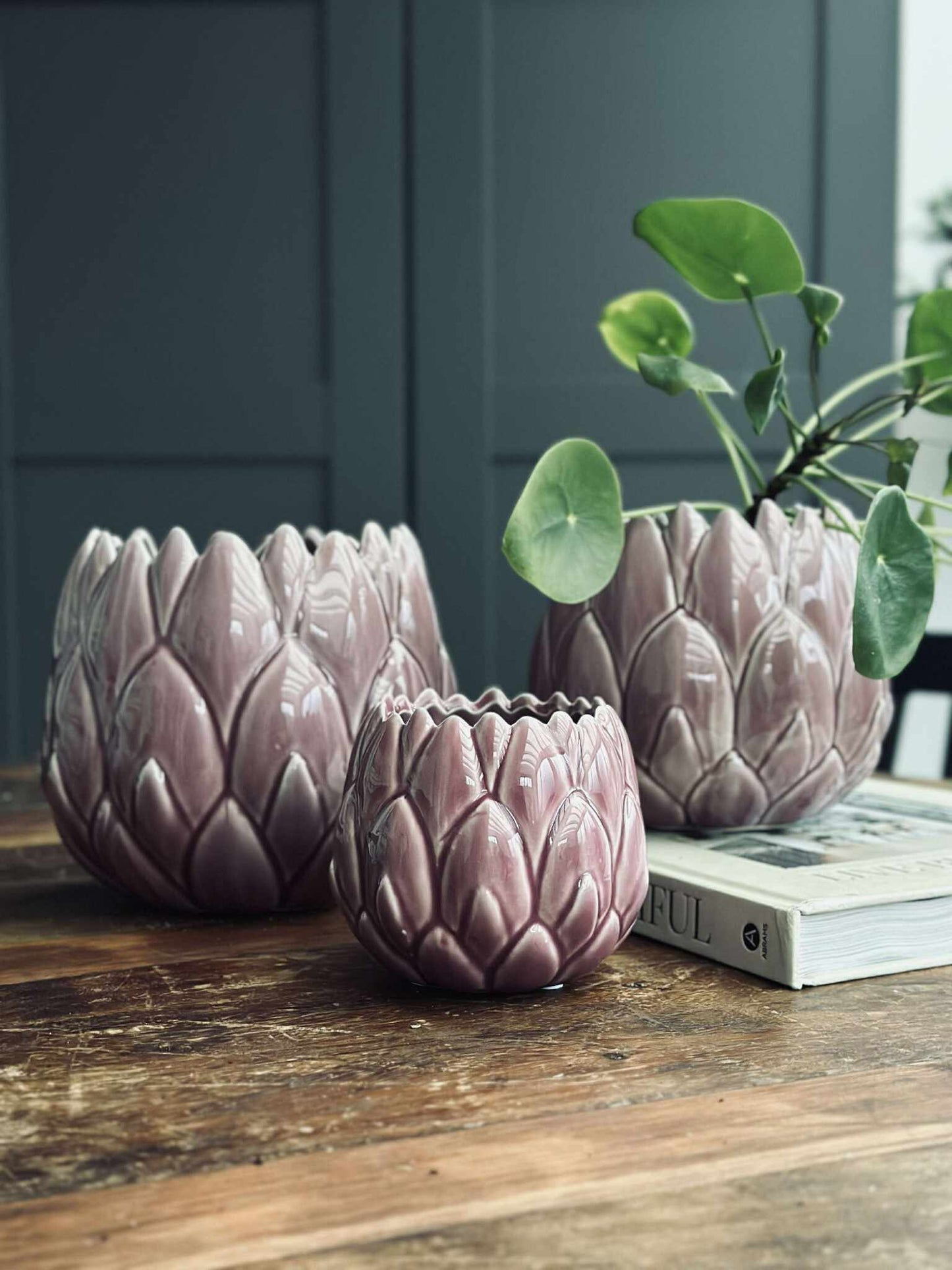 Skjuler Lavendel - Flere størrelser