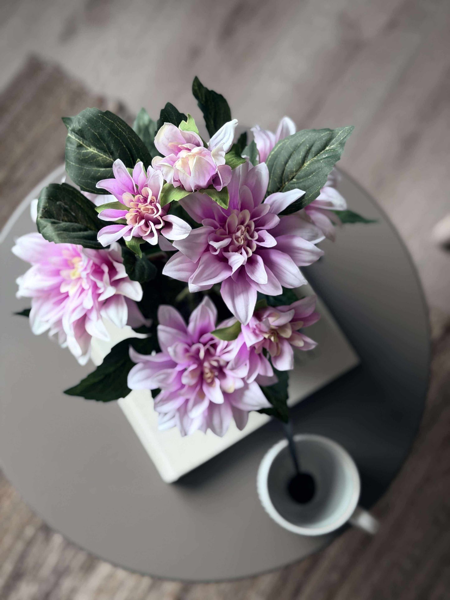 Dahlia i potte - Lyserød