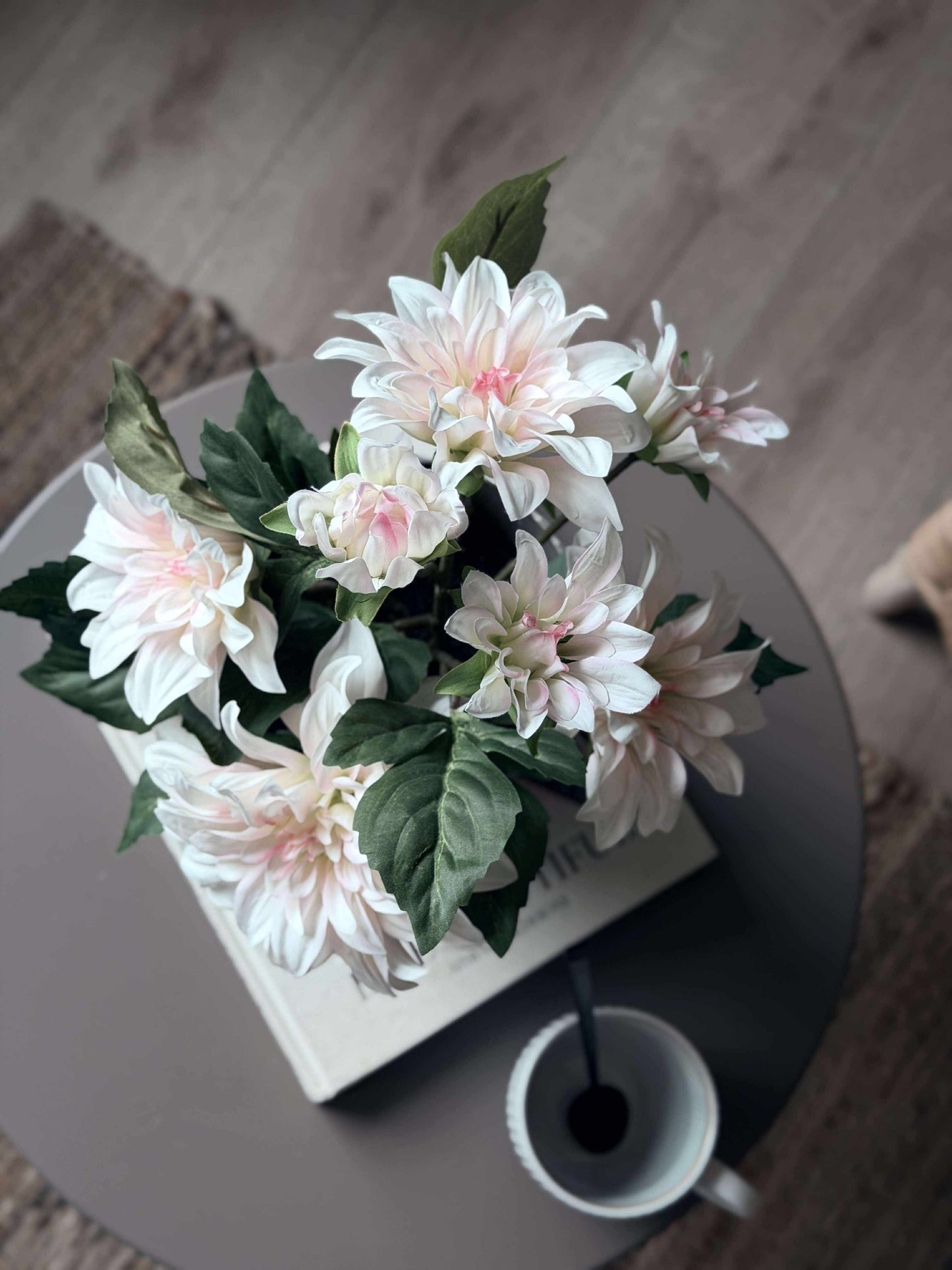 Dahlia i potte - Hvid