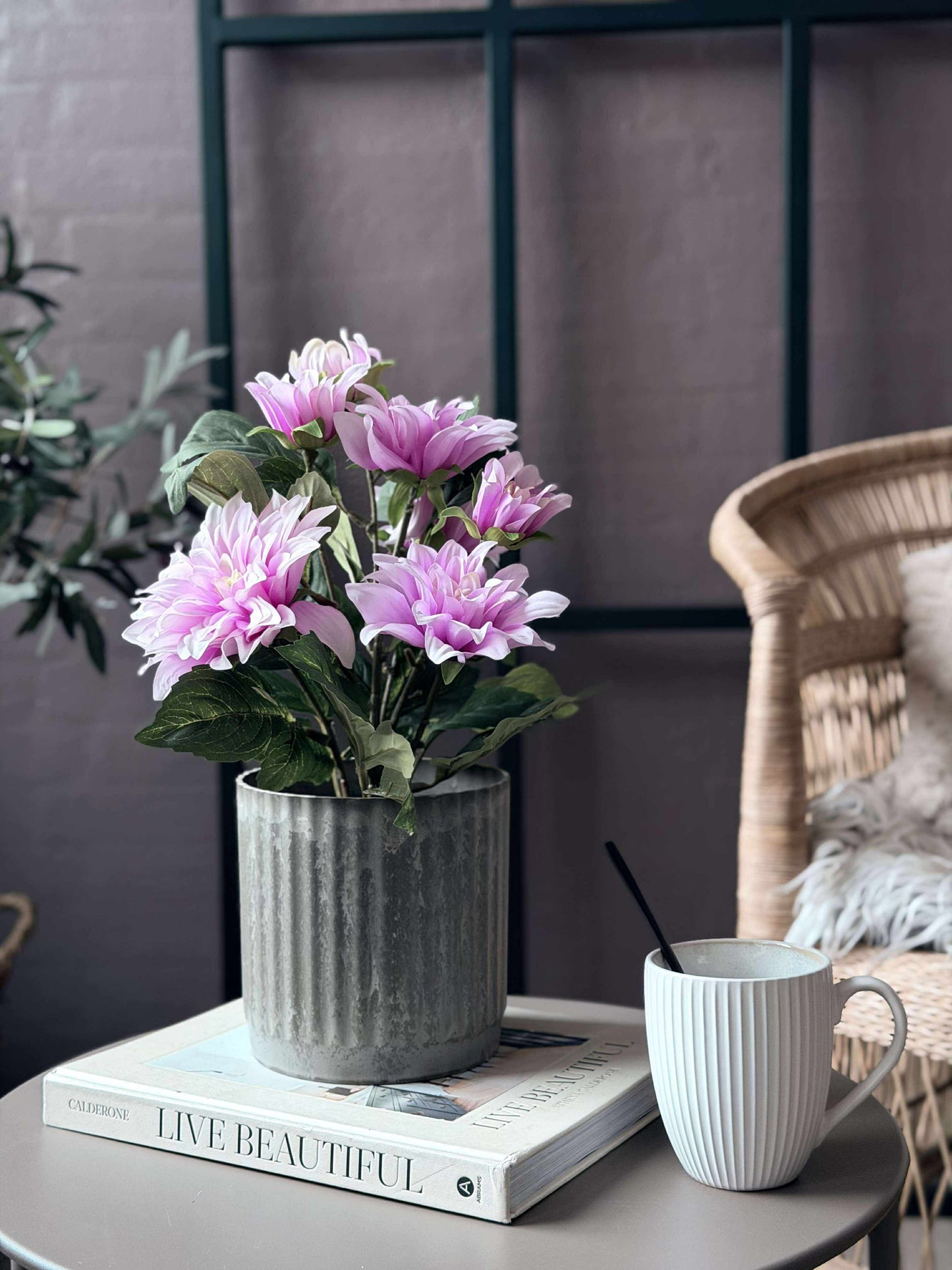 Dahlia i potte - Lyserød
