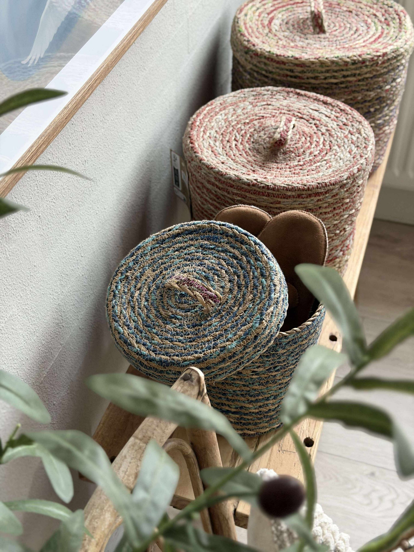 Kurve med låg COLOR - Sæt 3 stk