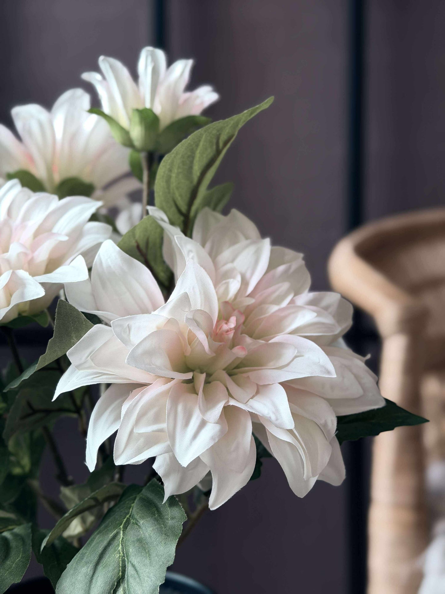Dahlia i potte - Hvid