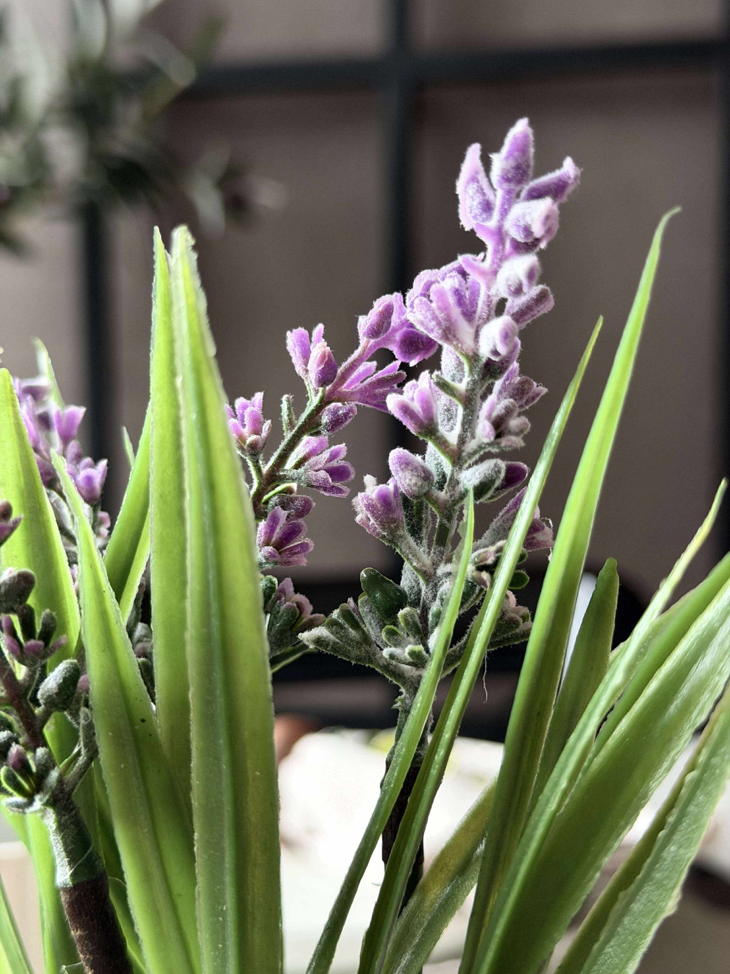 Lavendel moskugle