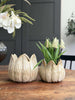 Urtepotter TULIP beige- Flere størrelser