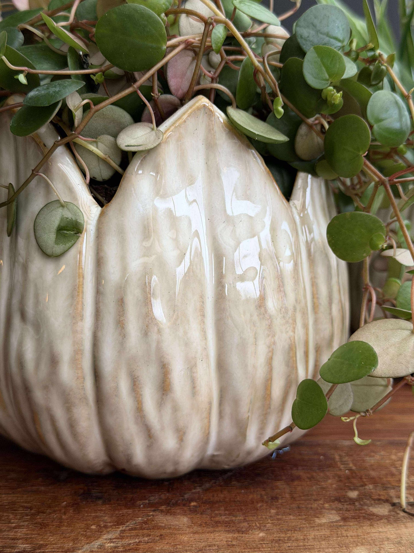 Urtepotter TULIP beige- Flere størrelser