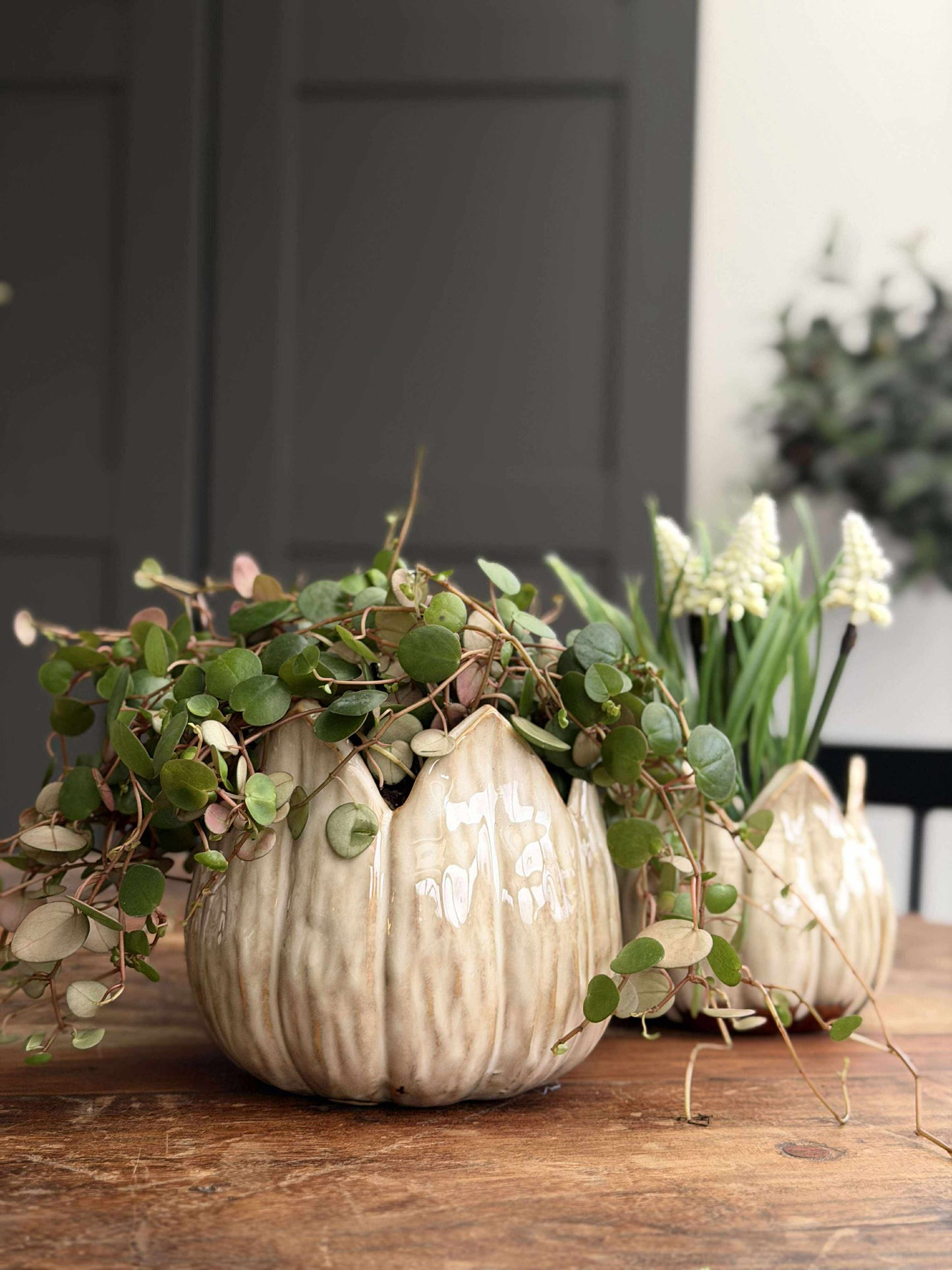 Urtepotter TULIP beige- Flere størrelser