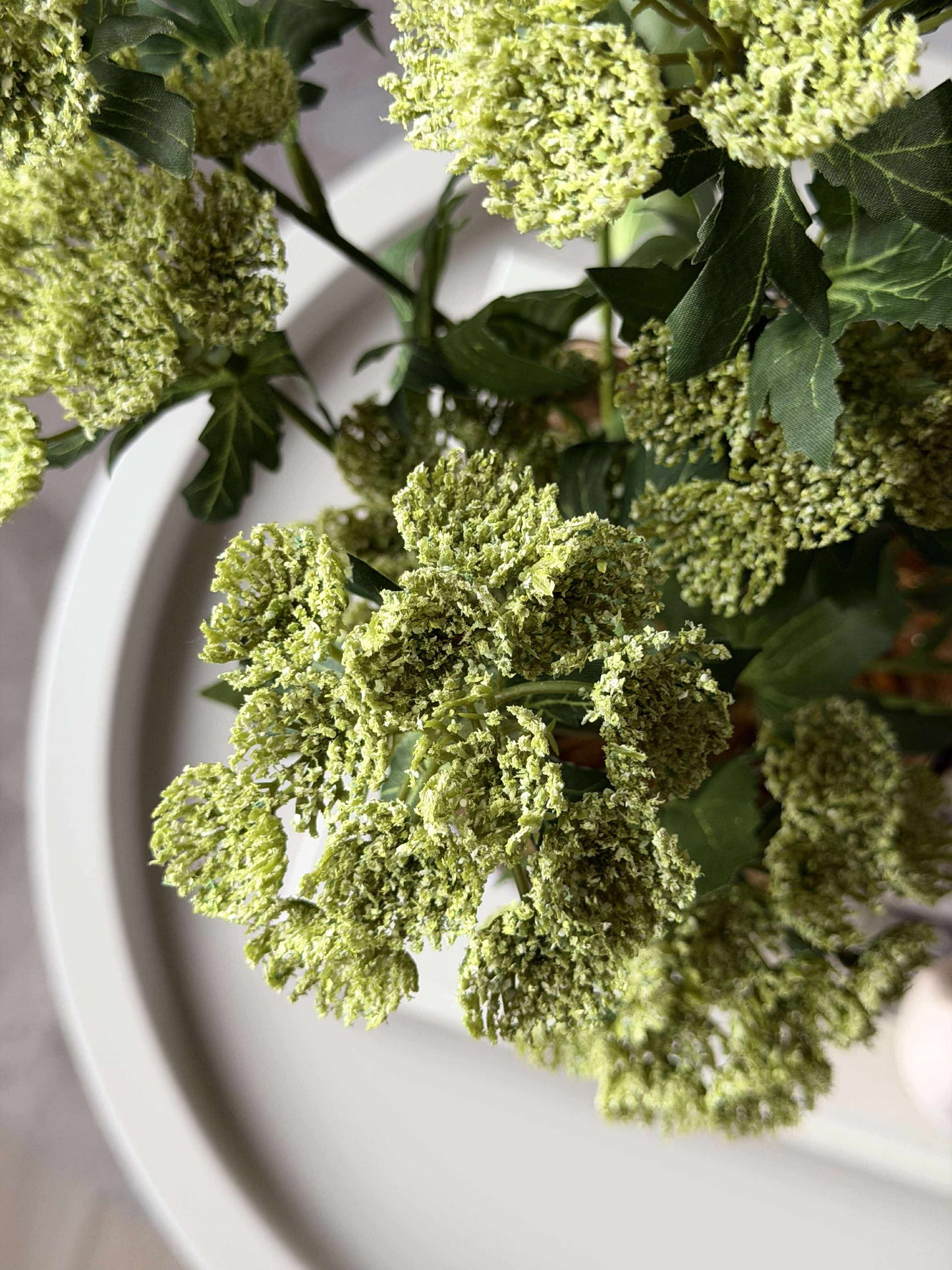 Blomsterstilk - Lime