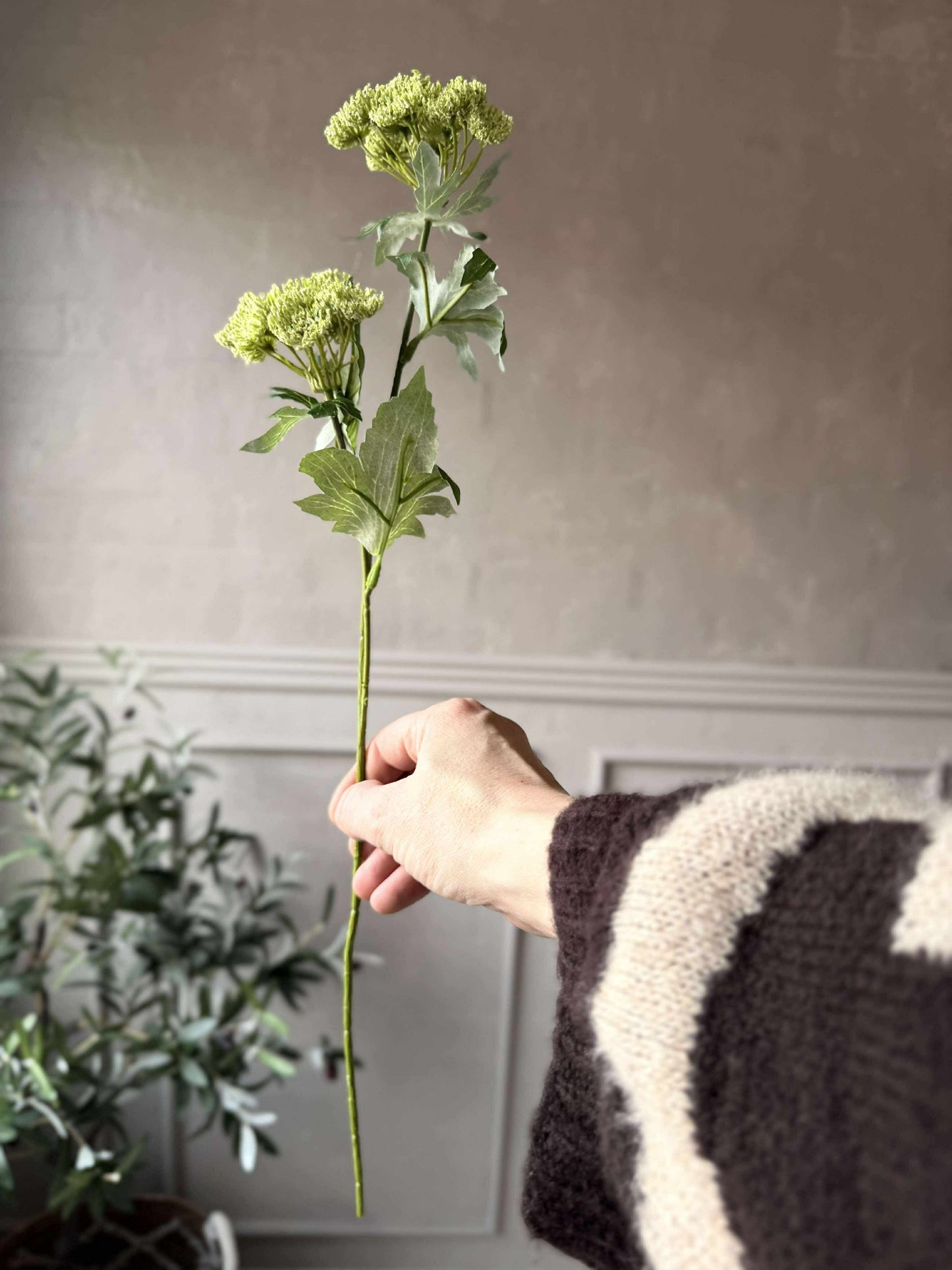Blomsterstilk - Lime