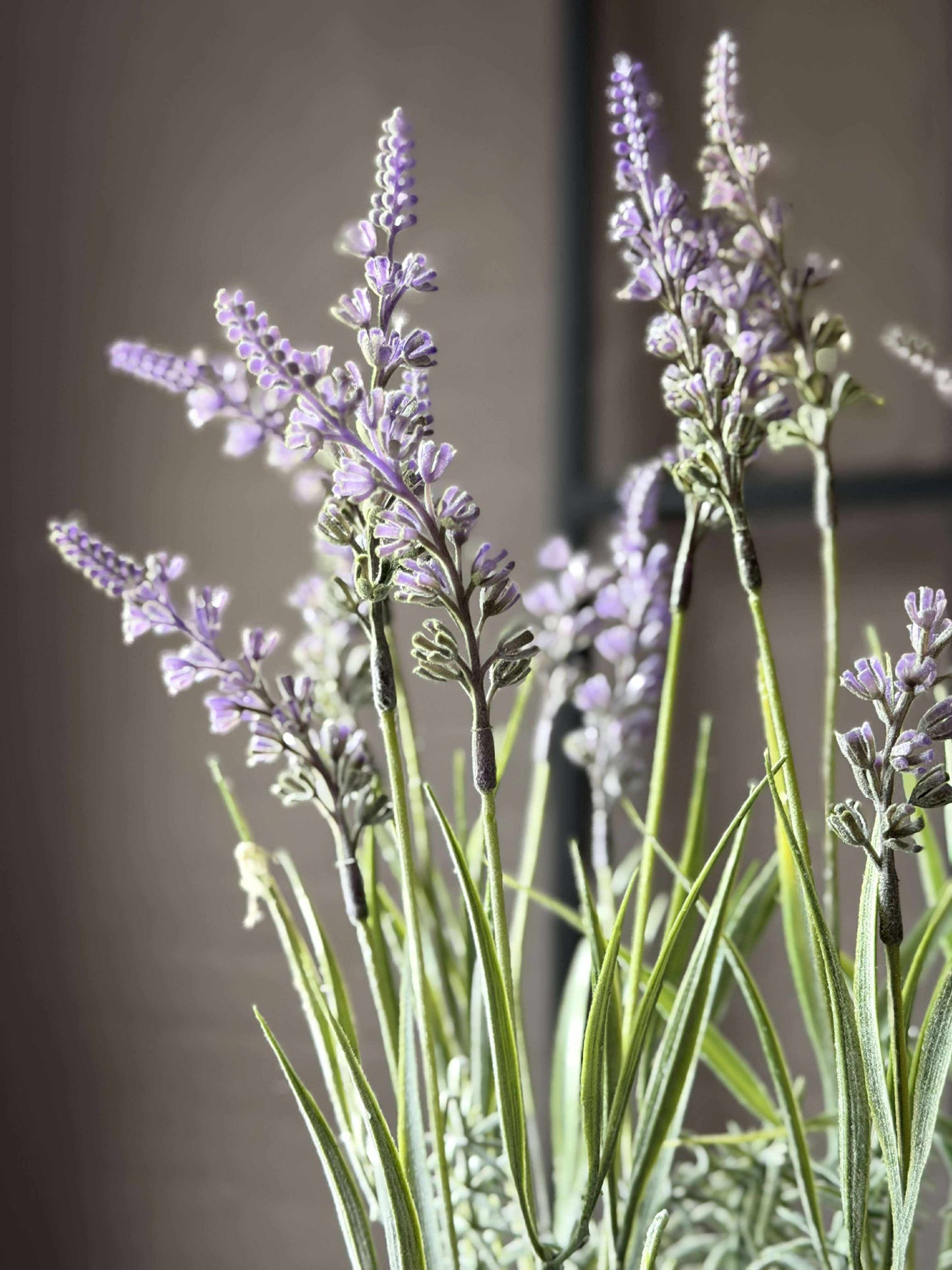 Blomst i potte