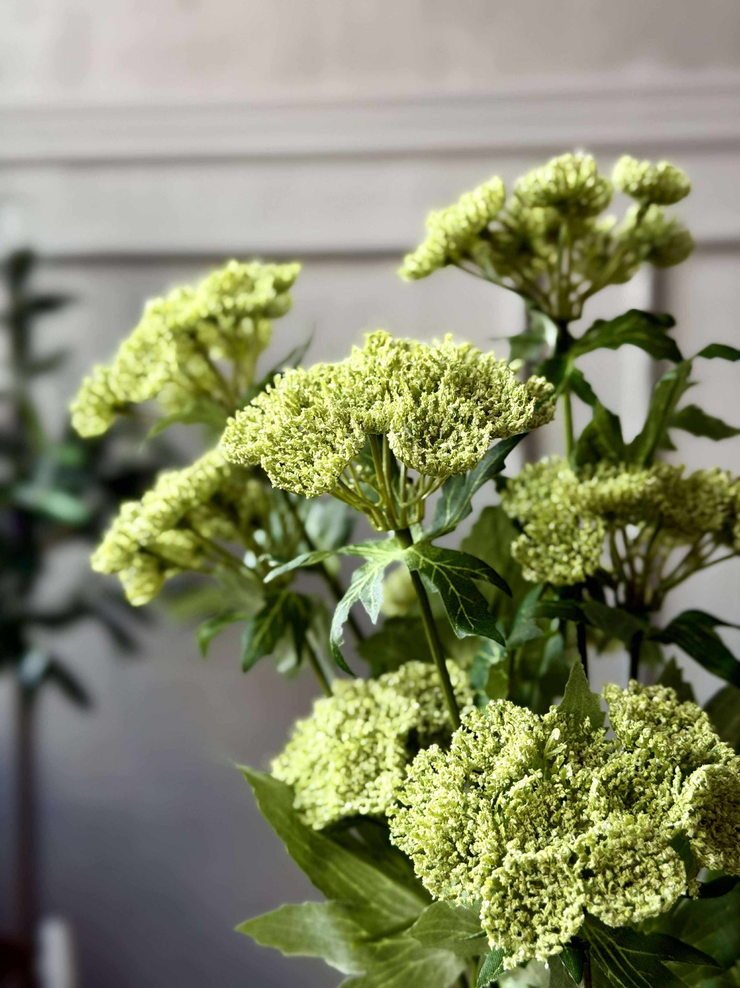 Blomsterstilk - Lime