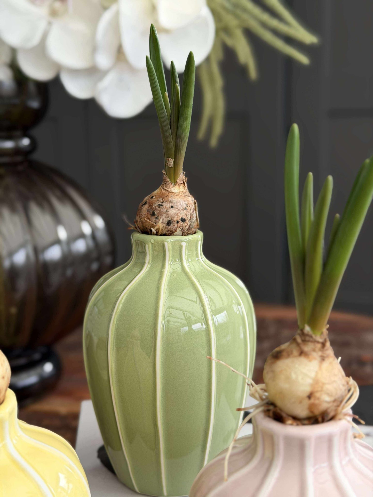 Vase - Flere farver