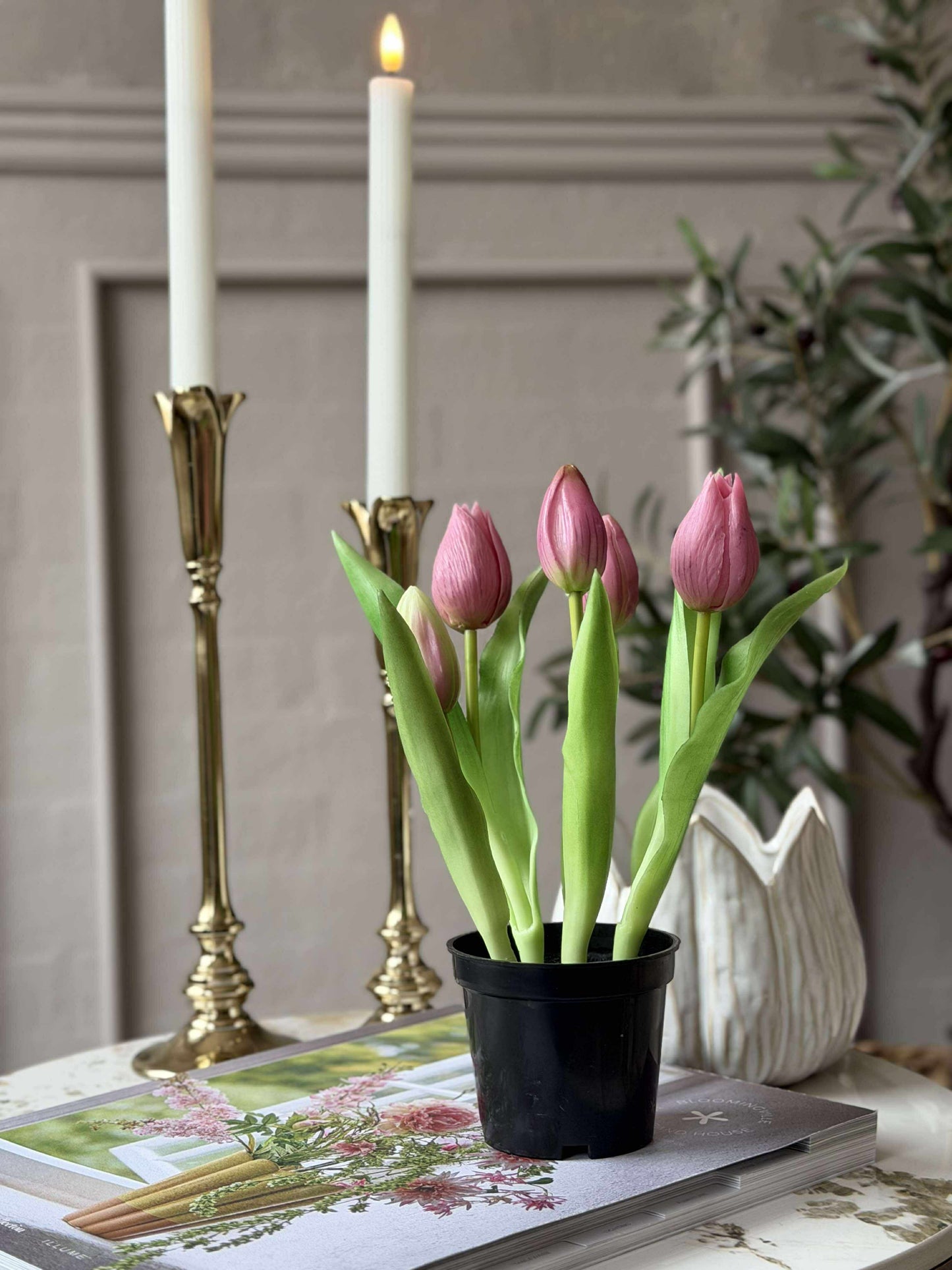 Tulipan i potte - Mørk Rosa