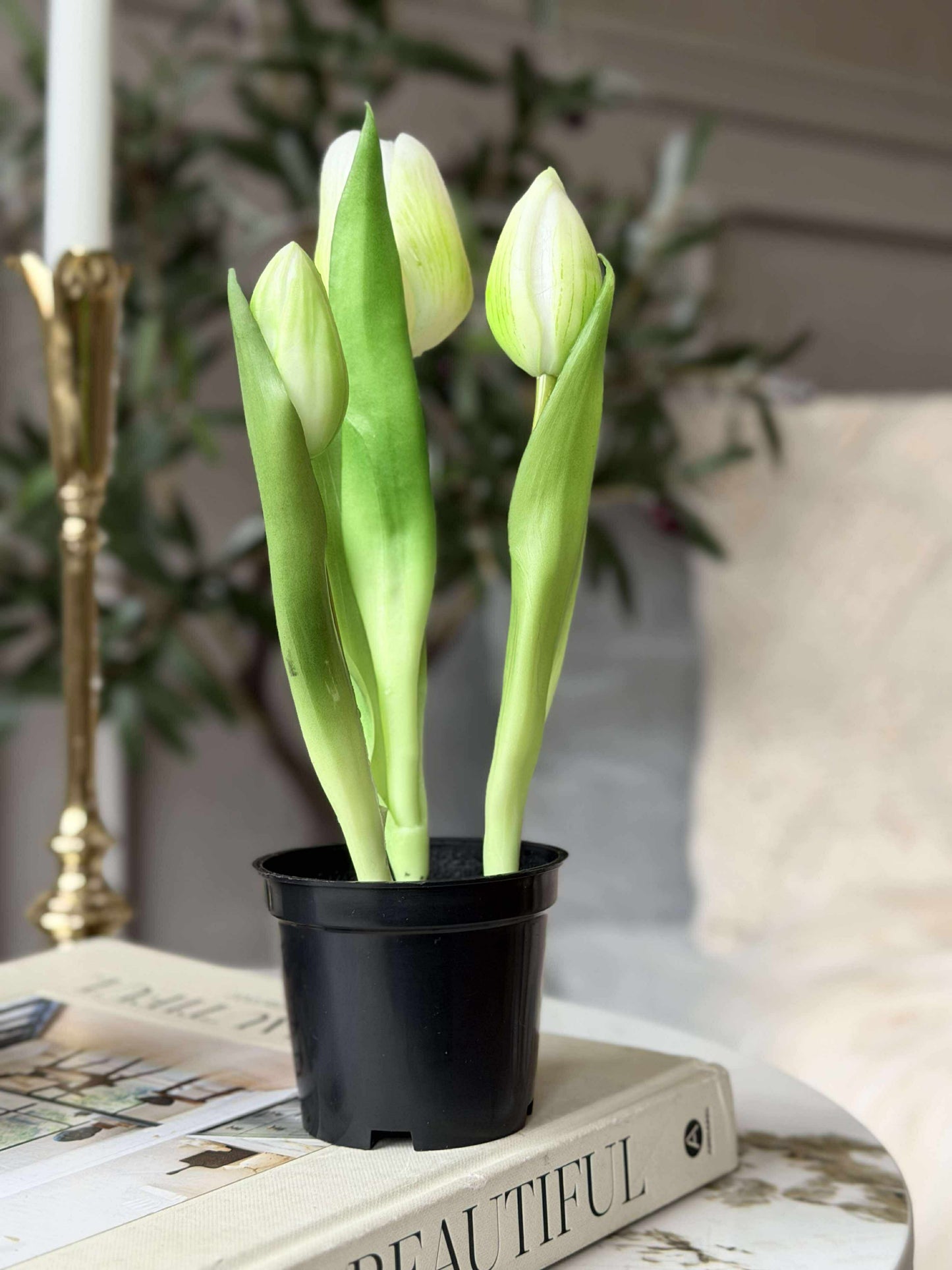 Tulipan i potte - Hvid Med 3 Blomster