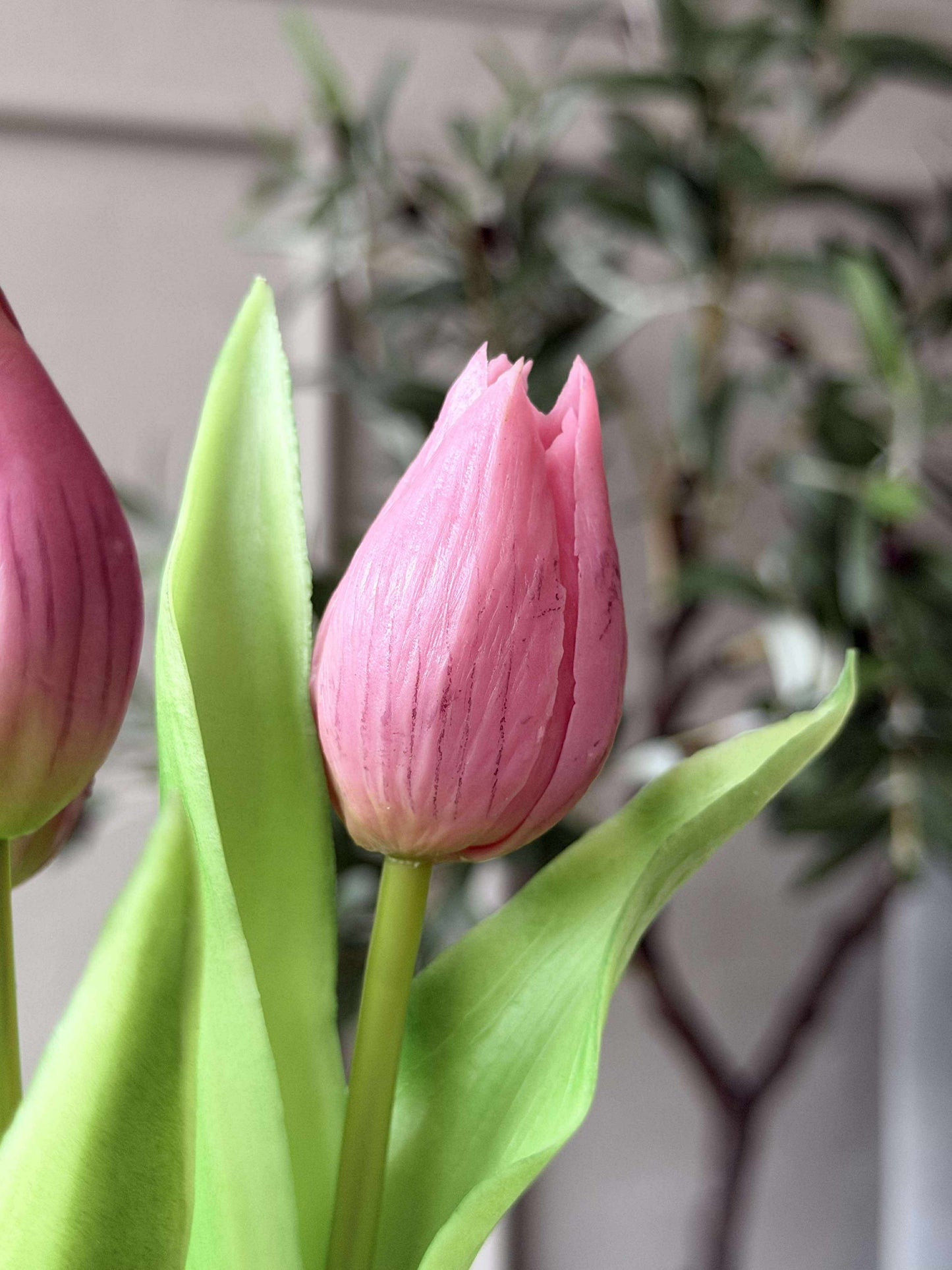 Tulipan i potte - Mørk Rosa