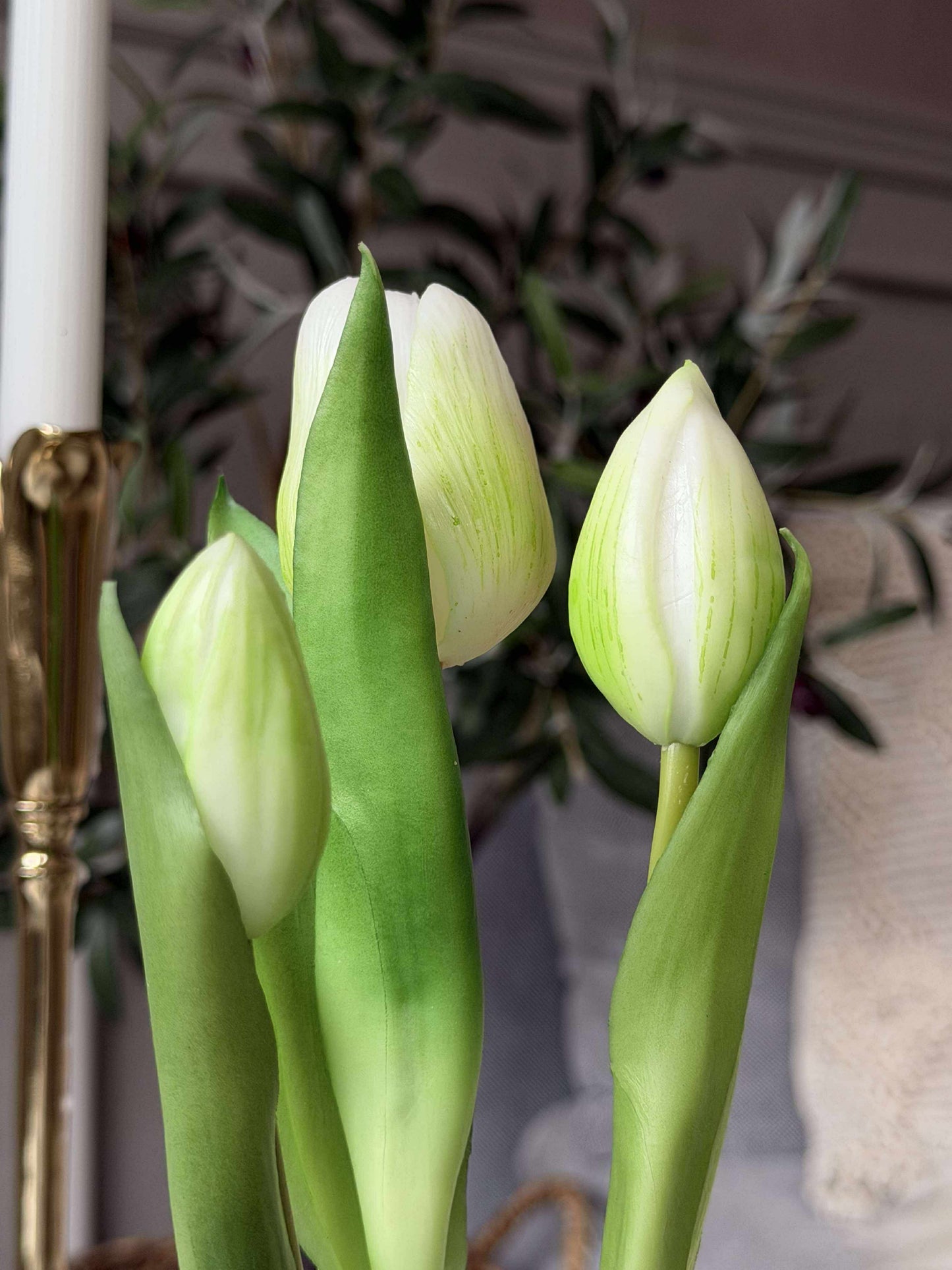 Tulipan i potte - Hvid Med 3 Blomster