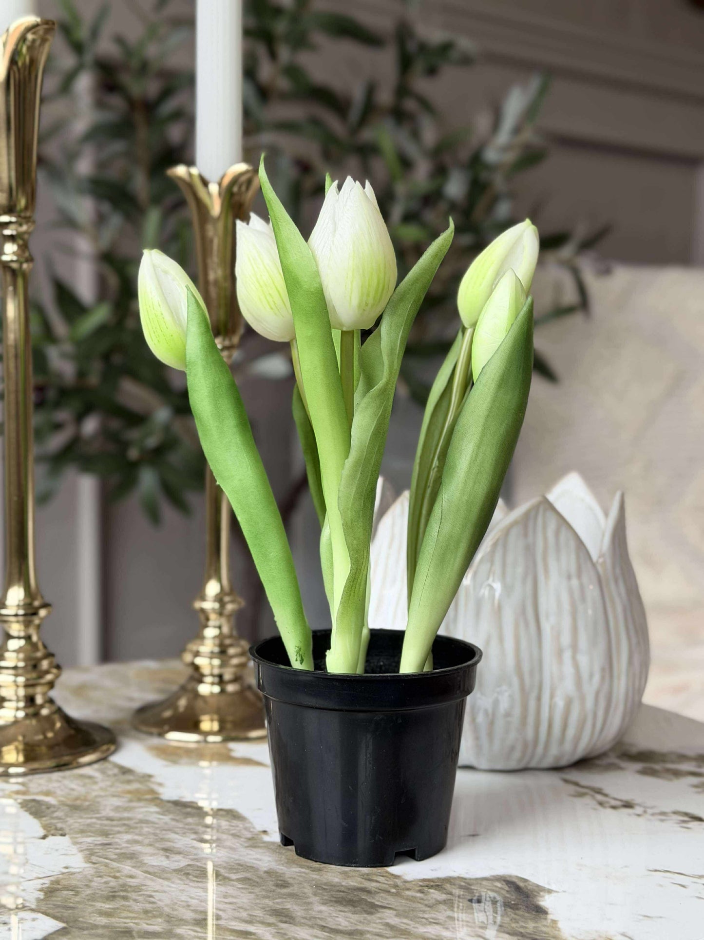 Tulipan i potte - Hvid