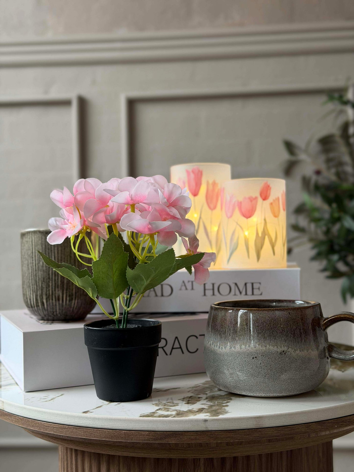 Mini hortensia i potte - flere farver