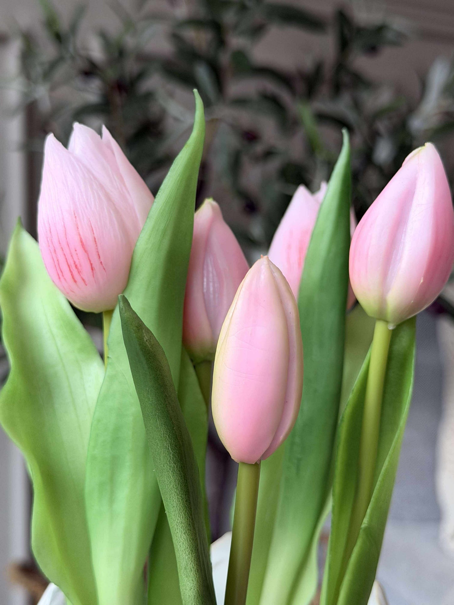 Tulipan i potte - Rosa