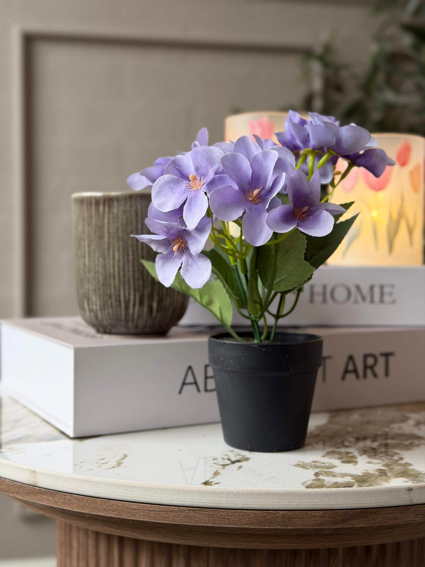 Mini hortensia i potte - flere farver