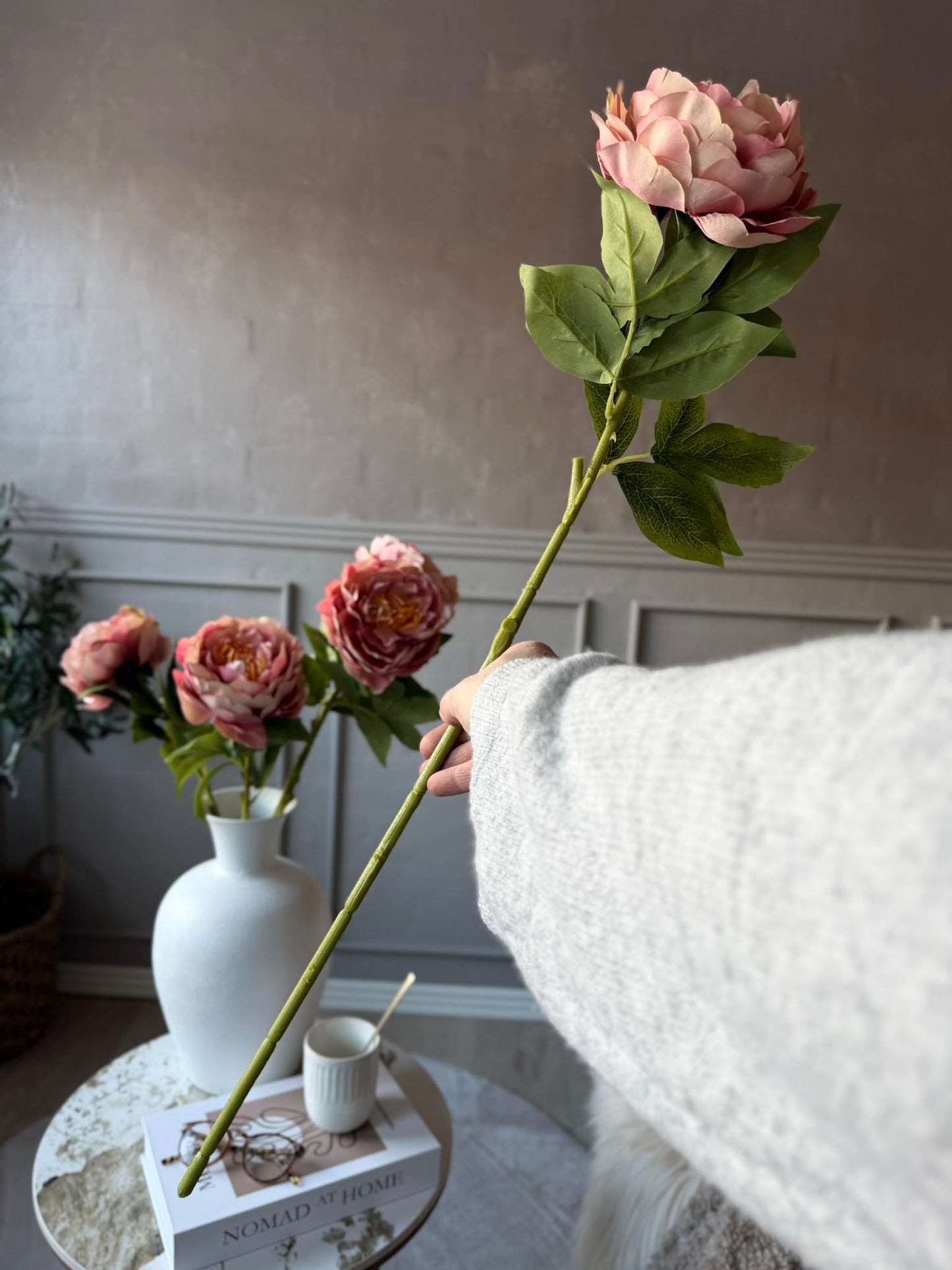 Blomst Pæon Rosa