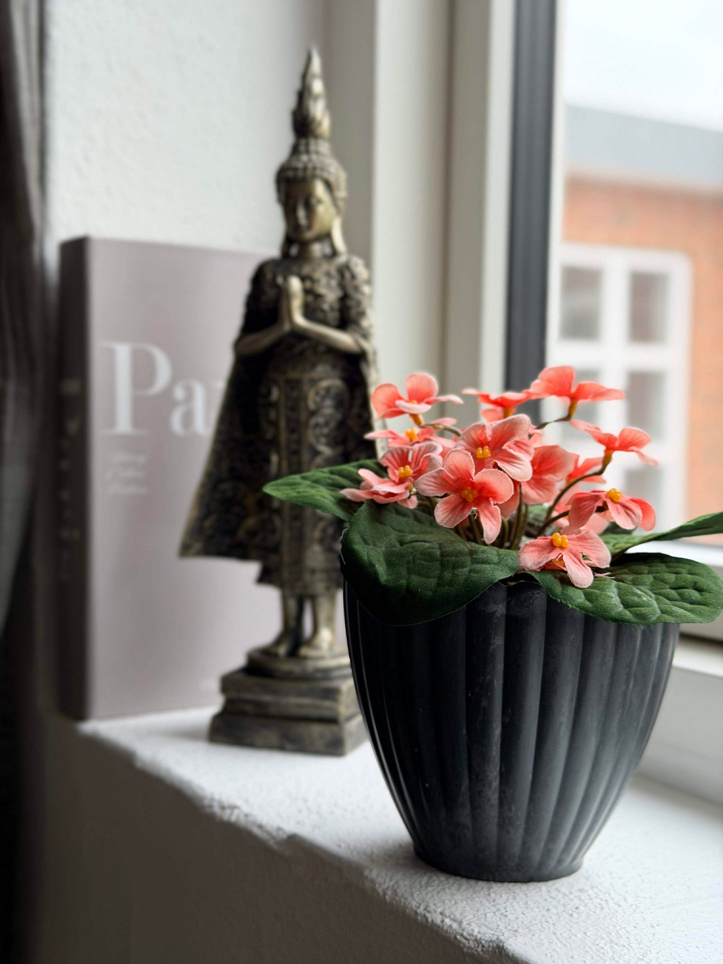 Saintpaulia i potte - flere farver