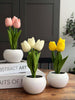 Tulipaner med lys - Hvid