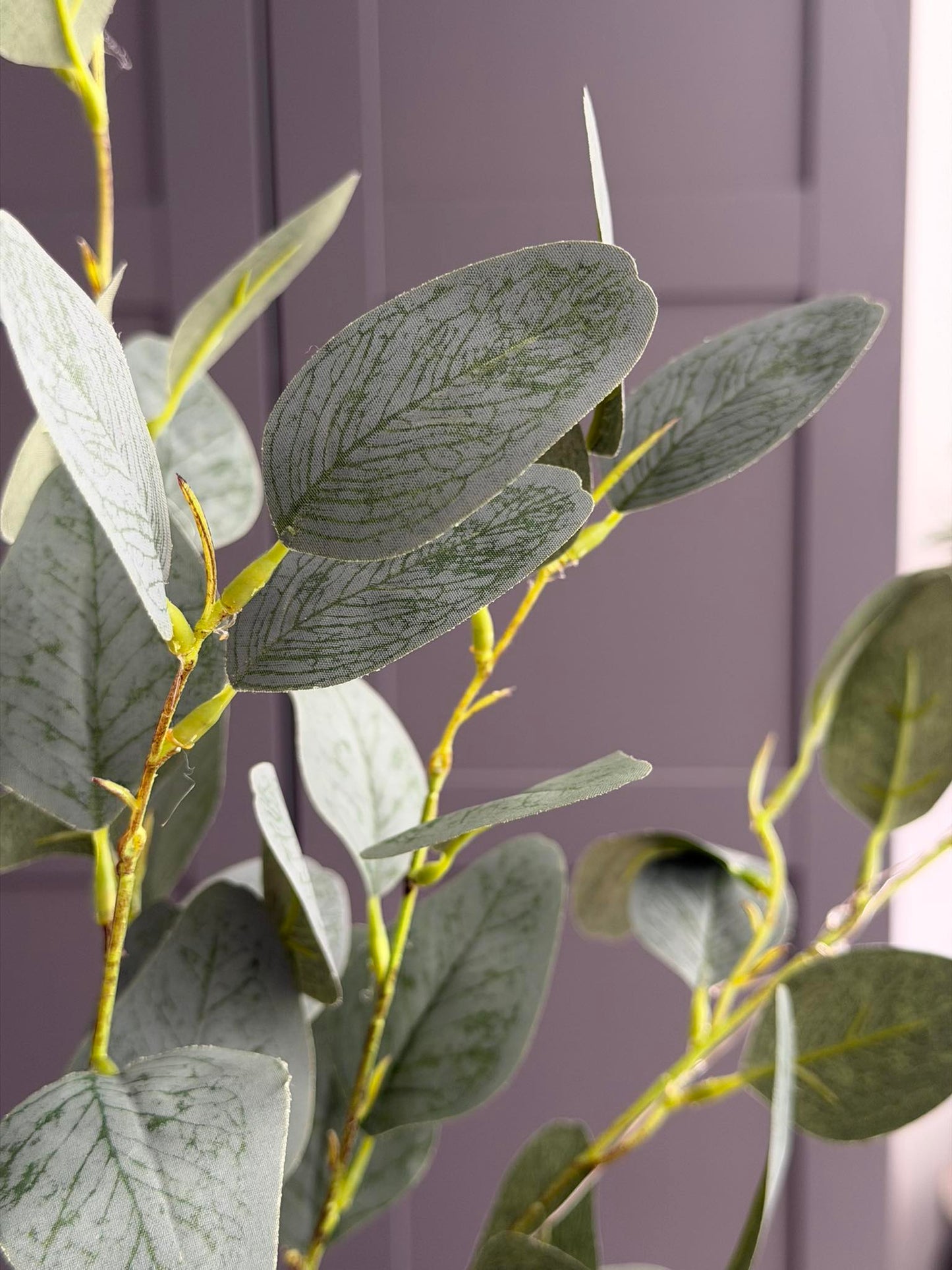 Eucalyptus gren med lys - 100cm