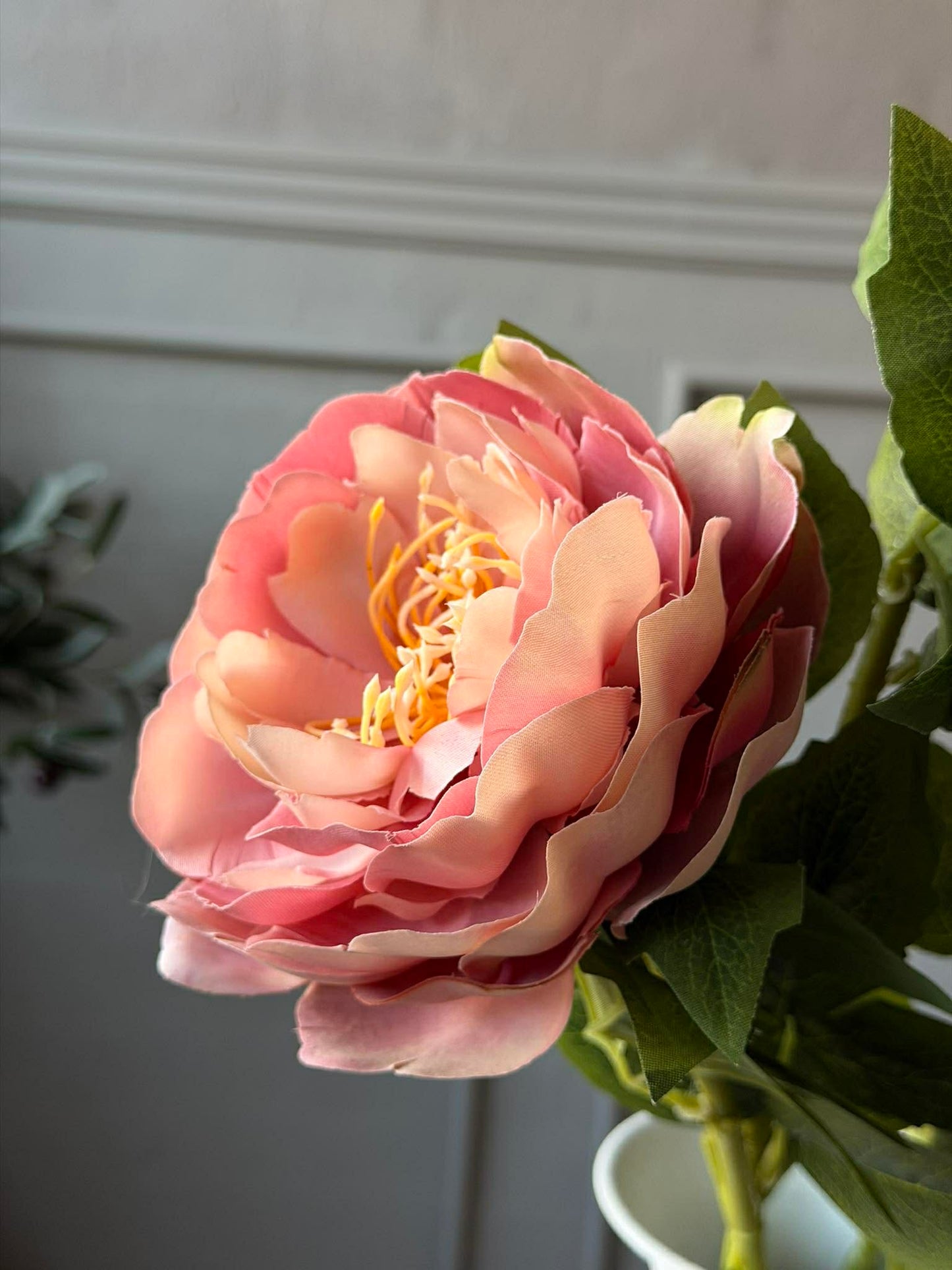 Blomst Pæon Rosa