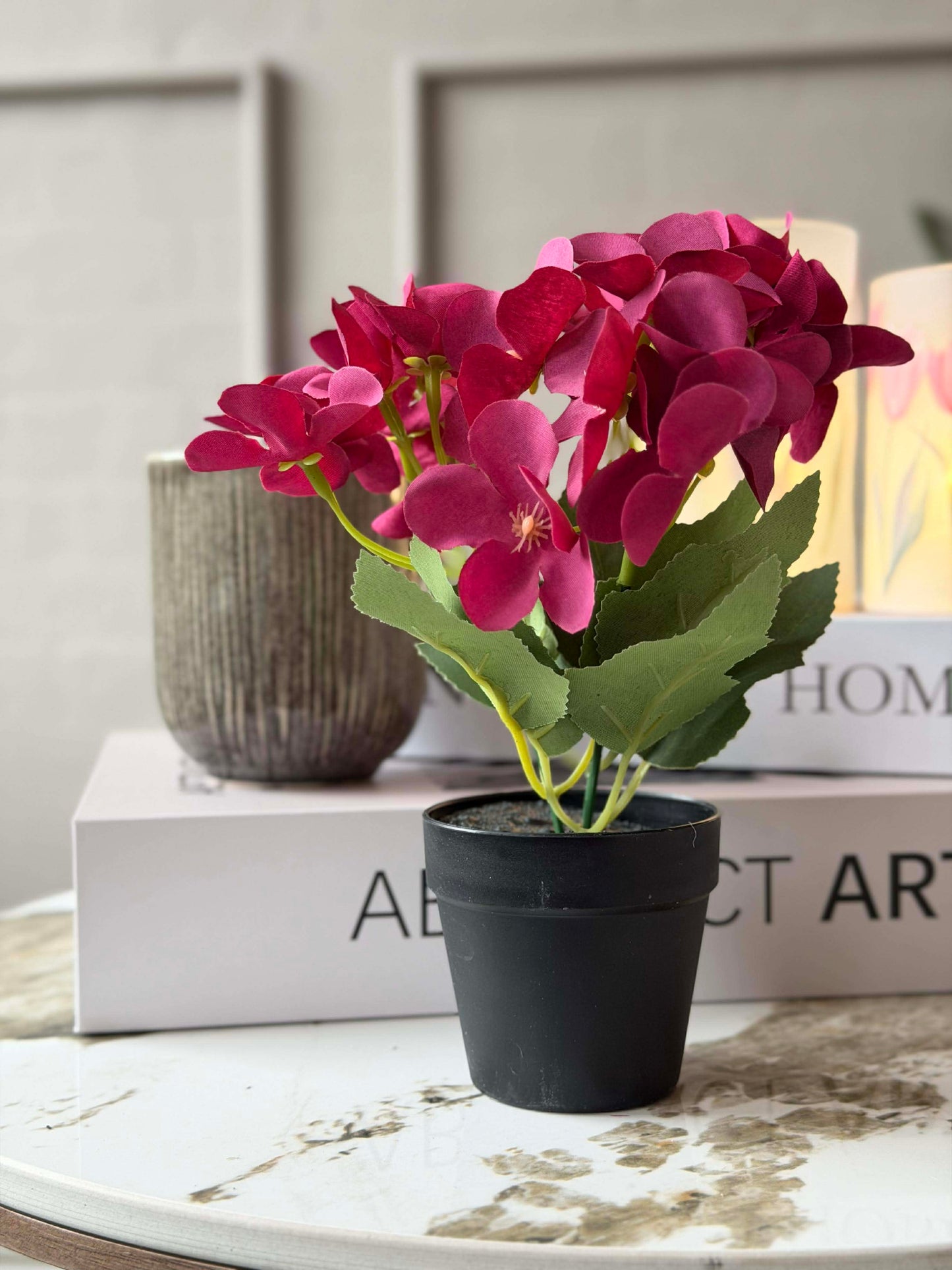 Mini hortensia i potte - flere farver