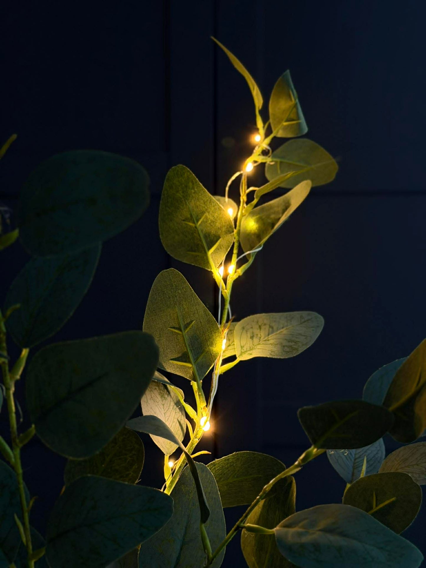 Eucalyptus gren med lys - 100cm